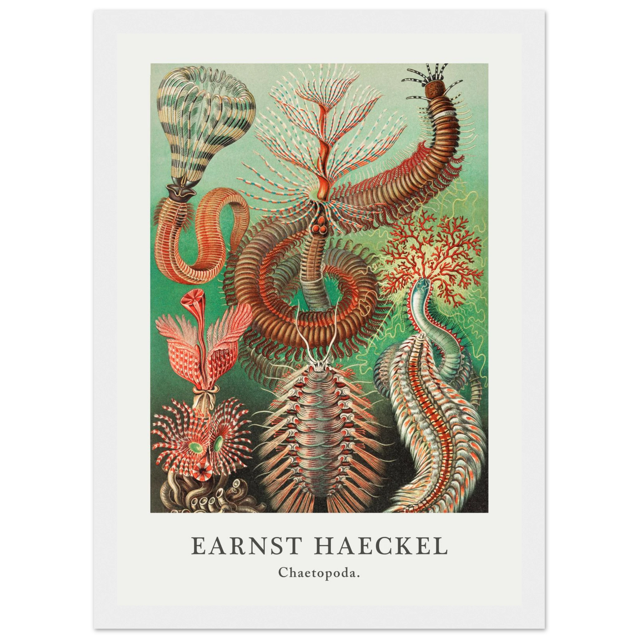 bd266a7c-1fa8-4a6f-a6c3-bda6beb67261