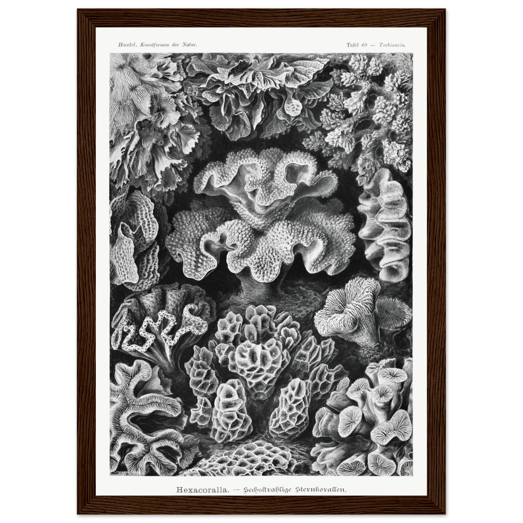 bd3112ba-c6cc-4336-9f77-6bbf9ac827cd