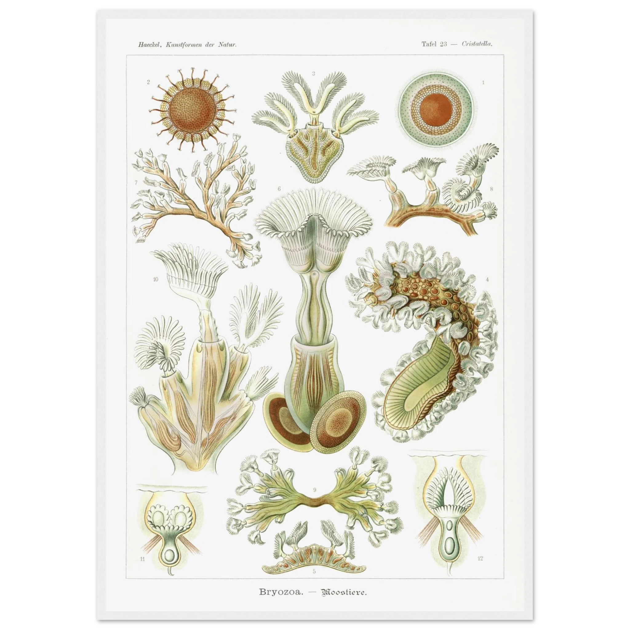 bd63c592-a0e3-4066-a01a-908911f36c18