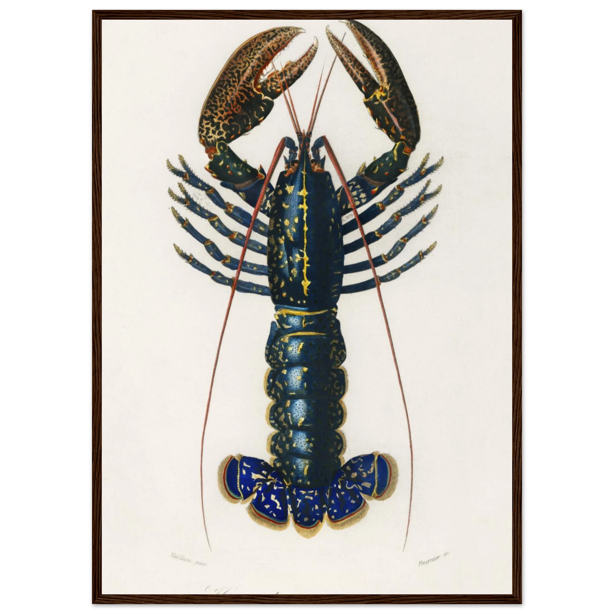 bda7a4d5-554f-4264-9733-b758ae82898d