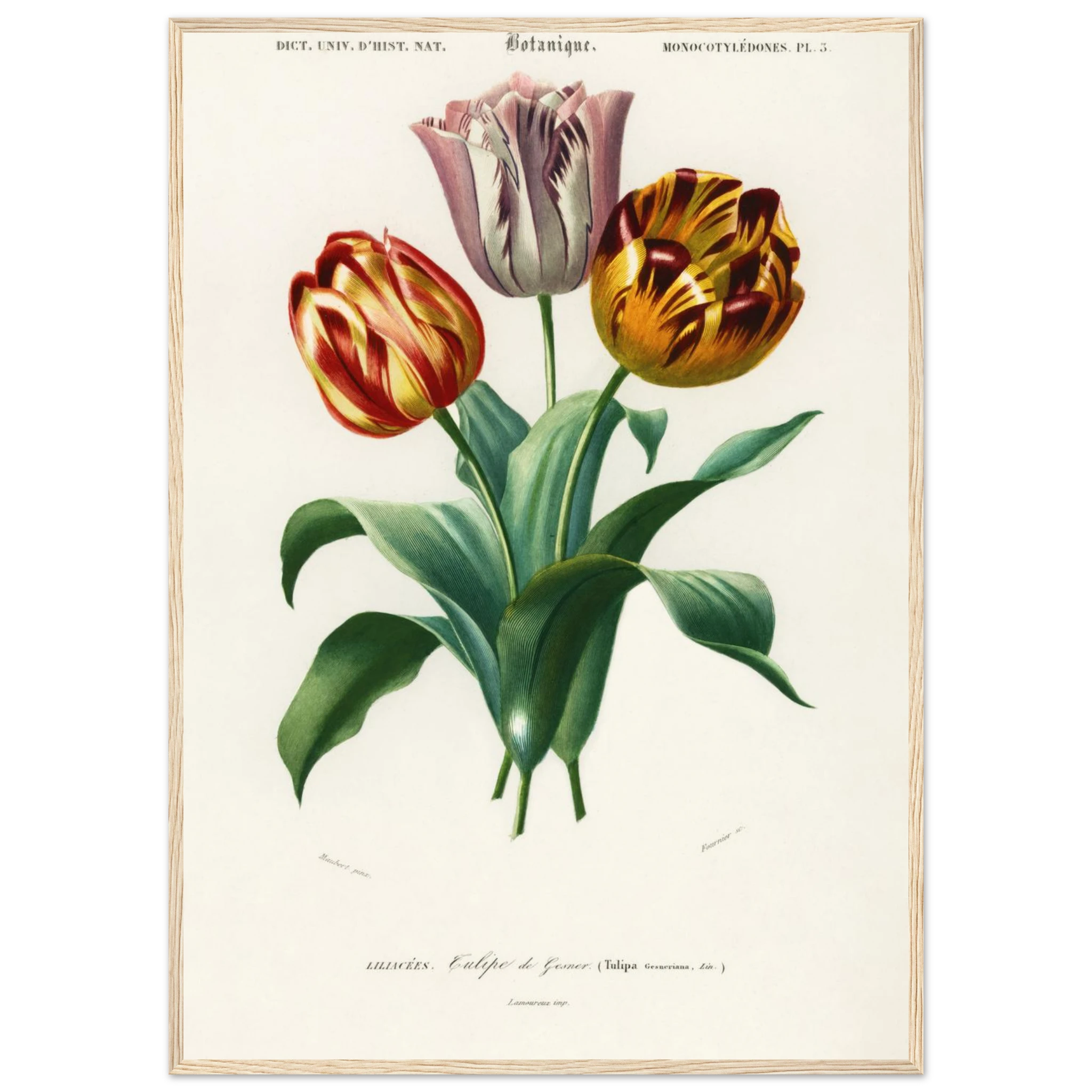 bdb5b76e-b766-4834-9df3-a54eb0a25c78