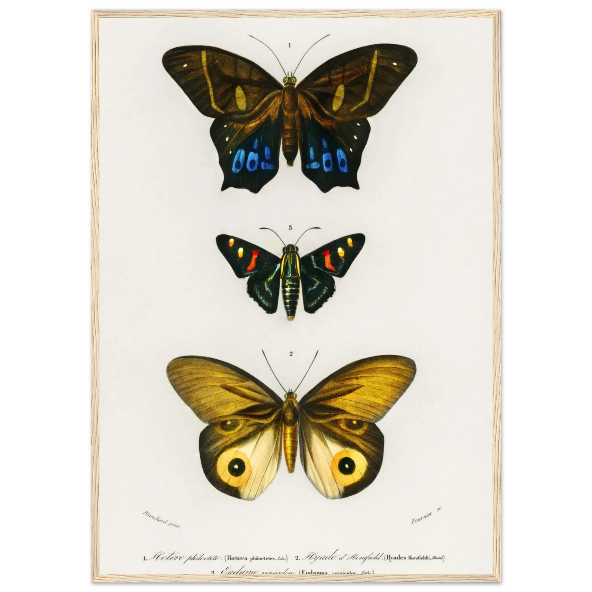 be125fc9-6e89-4e7f-89f7-d6edff8c2e5a