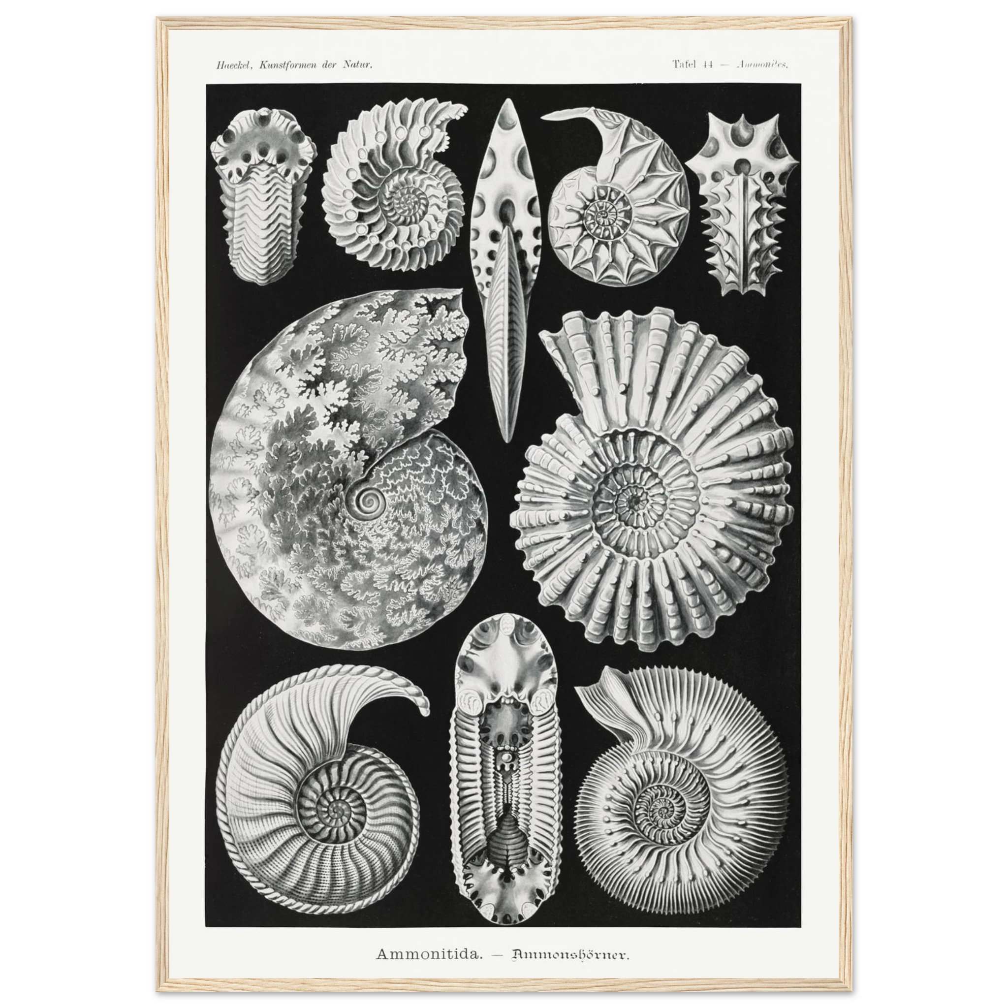 be39e57b-ba08-4dfd-a92d-611e9d591e1a