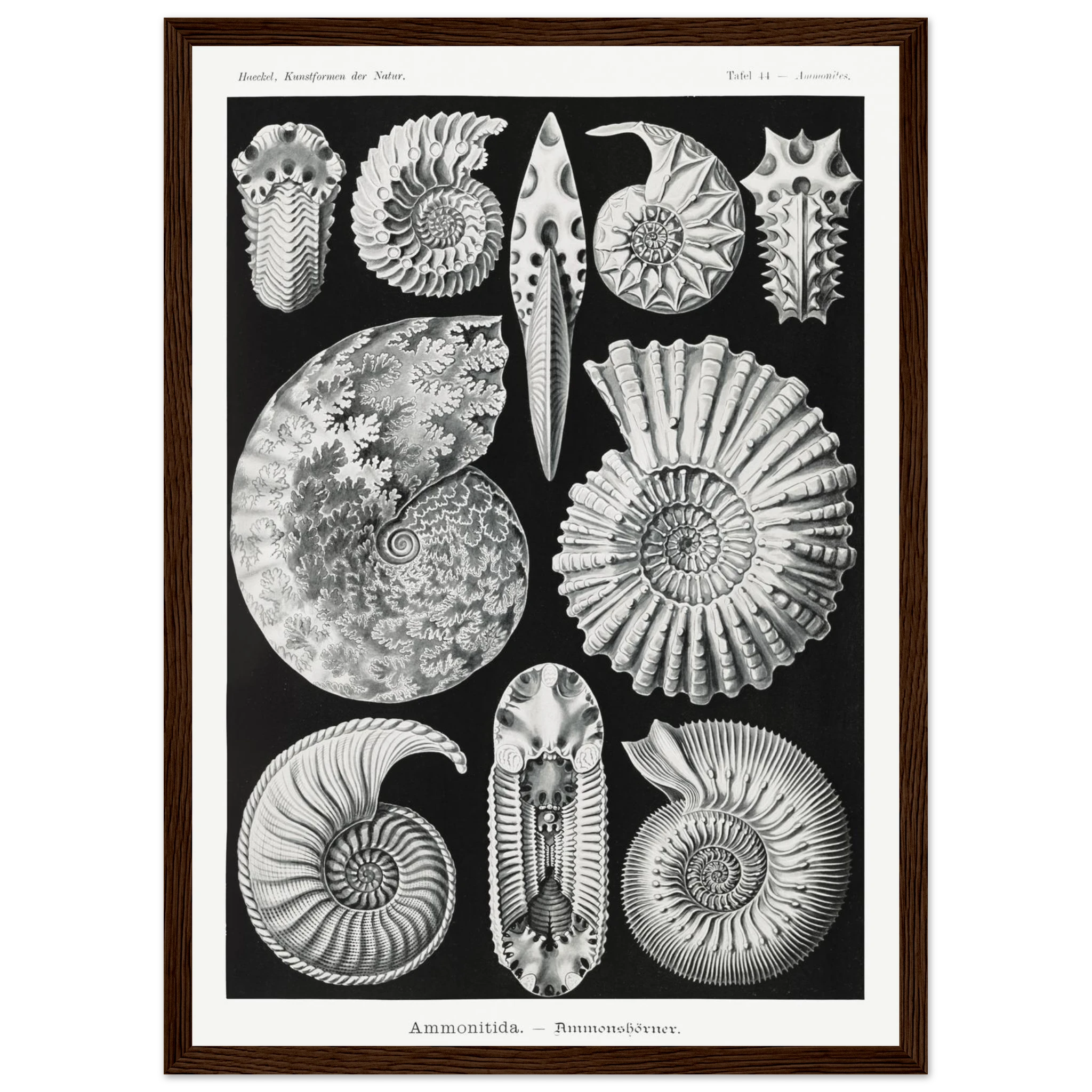 be43dd7f-fd5f-43b4-8ba5-f9fea637c430