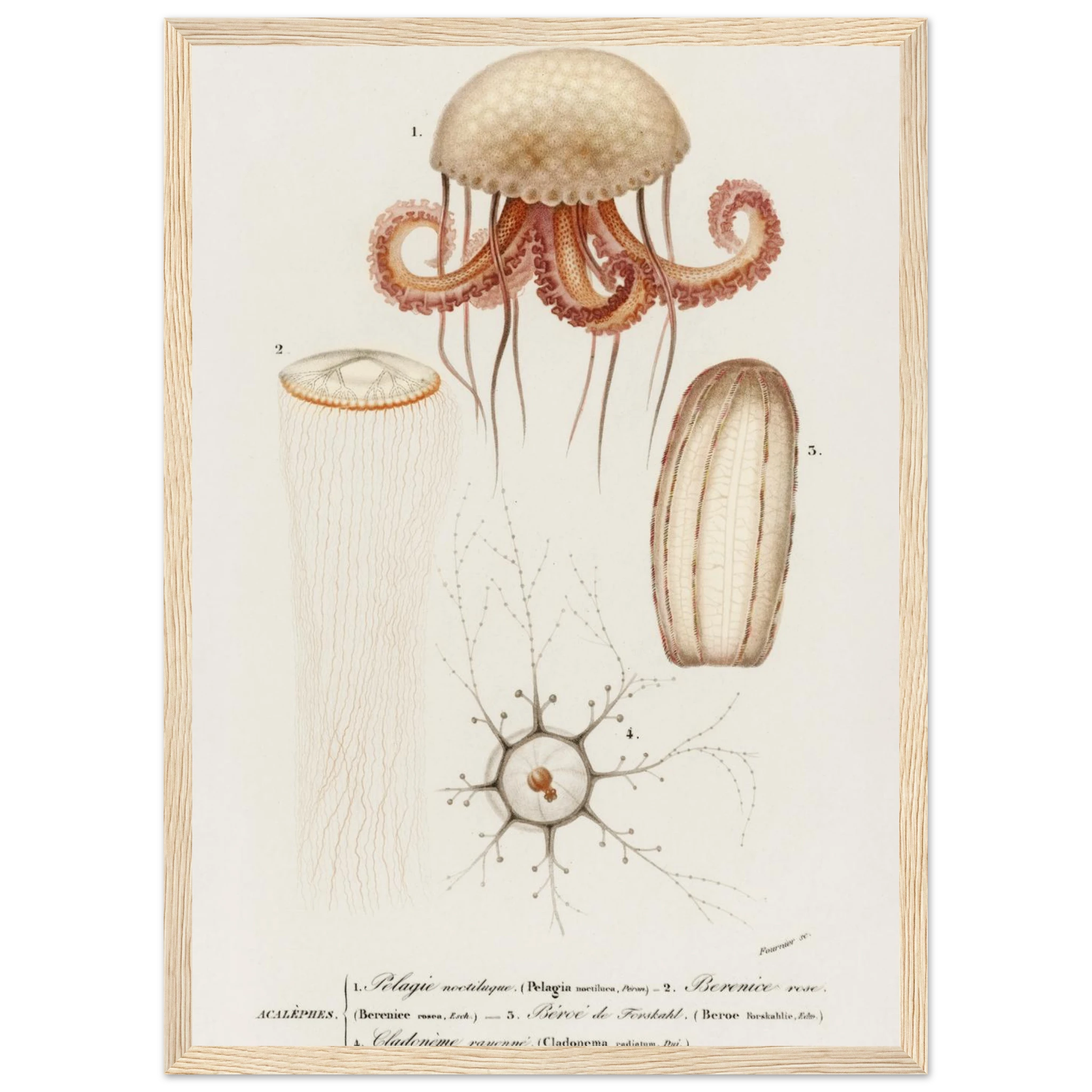 be9d9b55-6e20-4f6c-987f-ef9cf7d98cfc