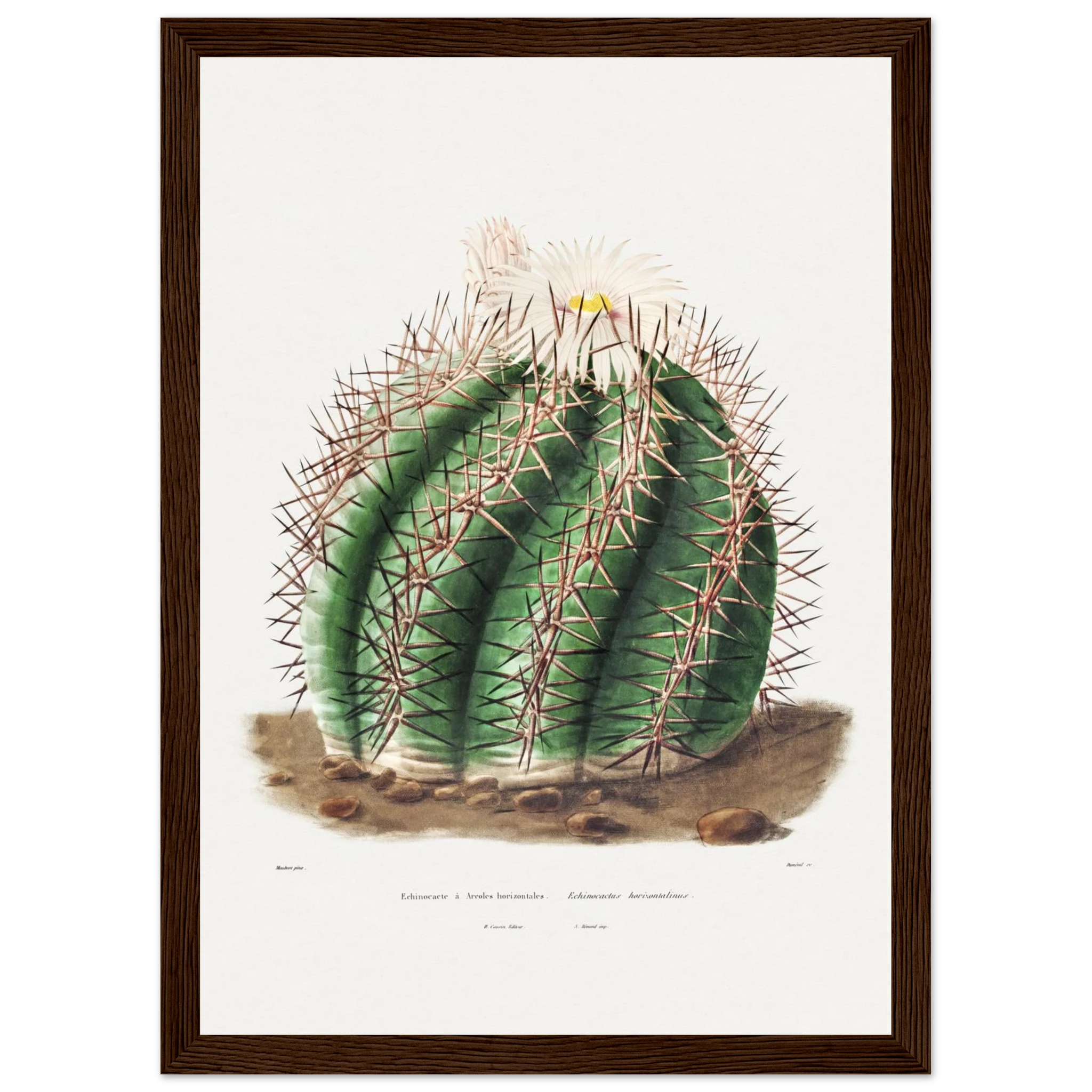 bec9d463-0f9b-48dc-ad78-09ffc60a8e2a