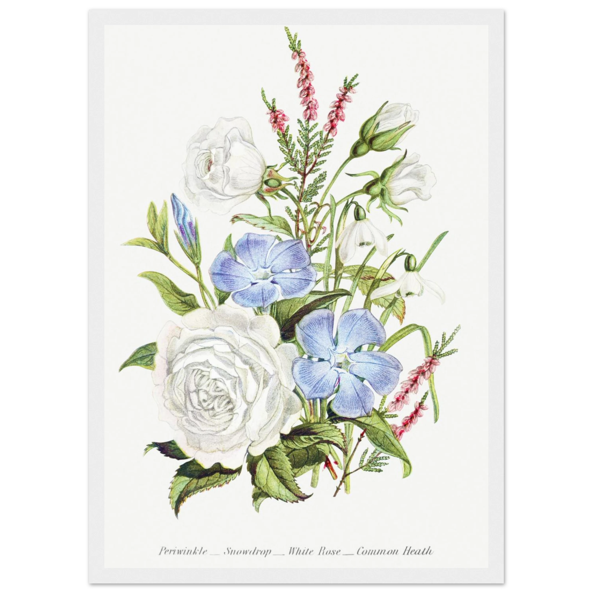 bee53e15-7ca6-4724-8cb6-dbe7a64fc289