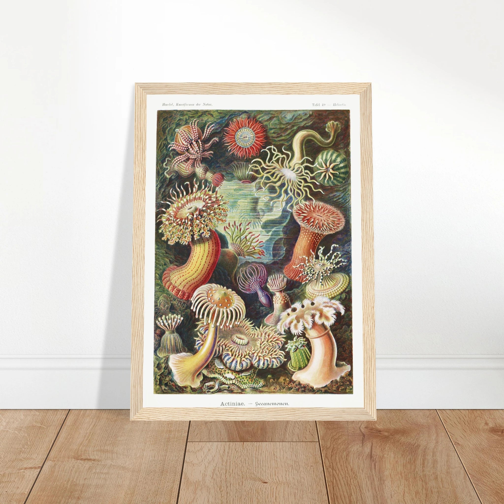 bf157799-c6d2-4cca-bbac-f6f848542fd1