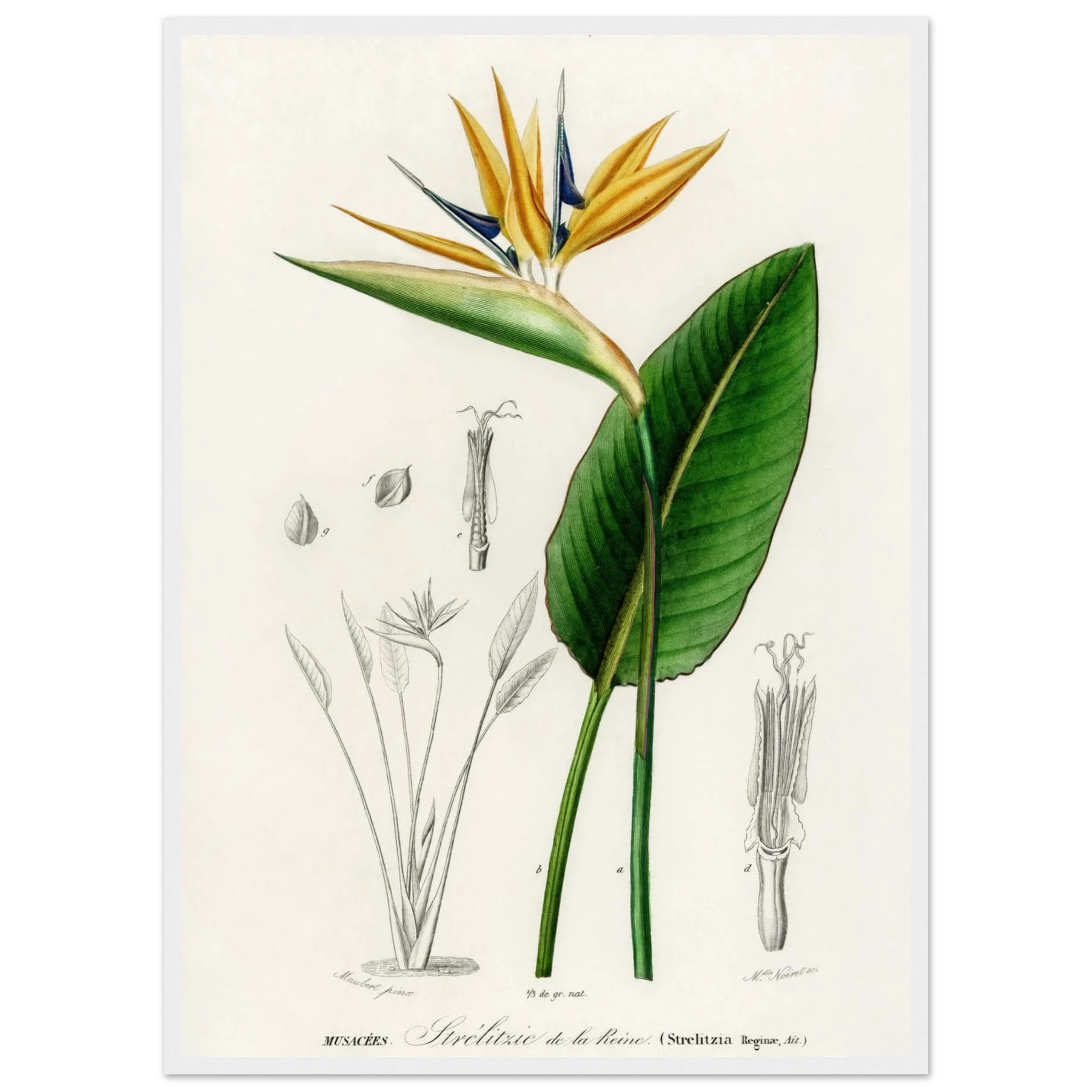 bf68967a-452b-4687-a7b8-12f9859c3a7c