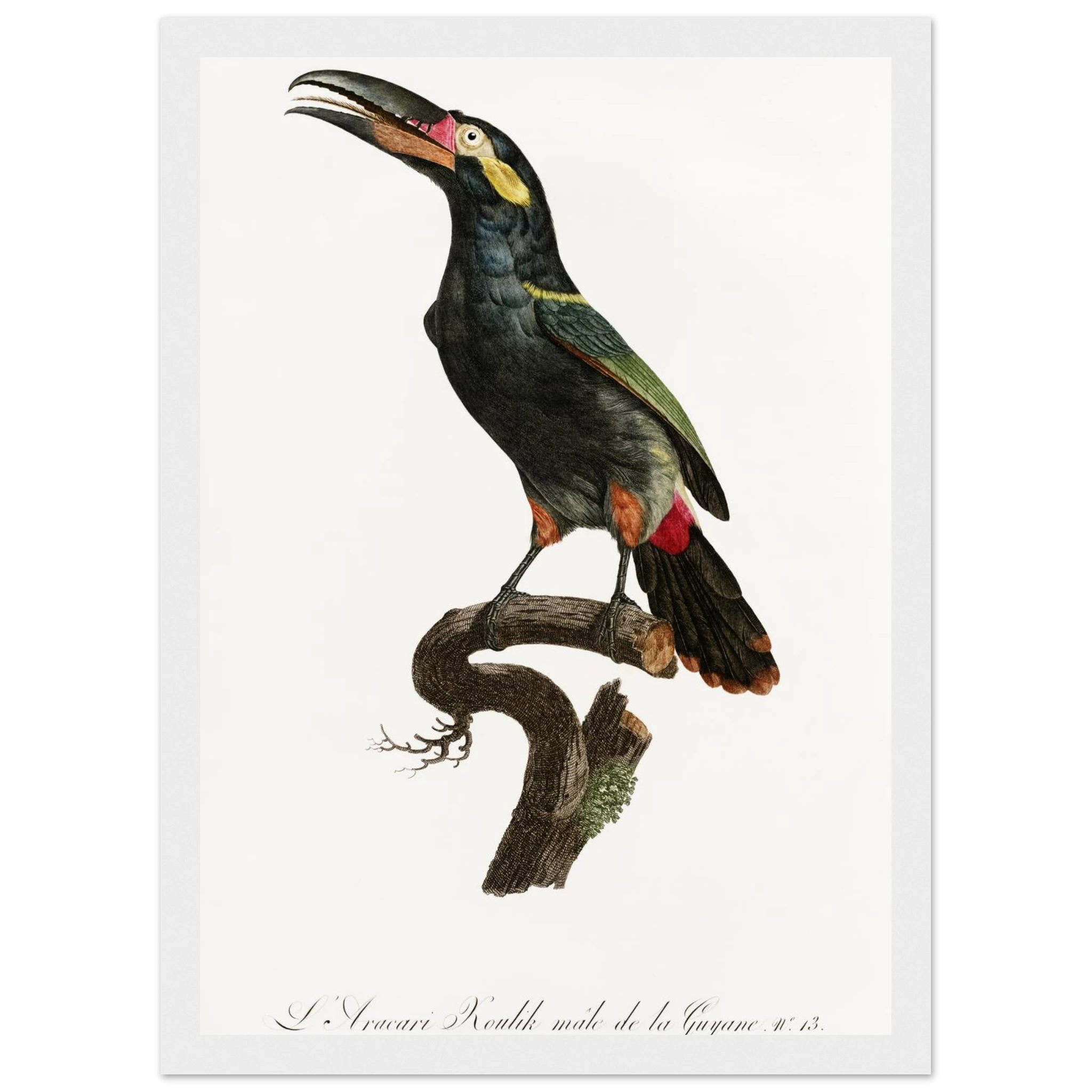 bf691dc9-84bb-4ba7-8580-1e6b7663e1ab