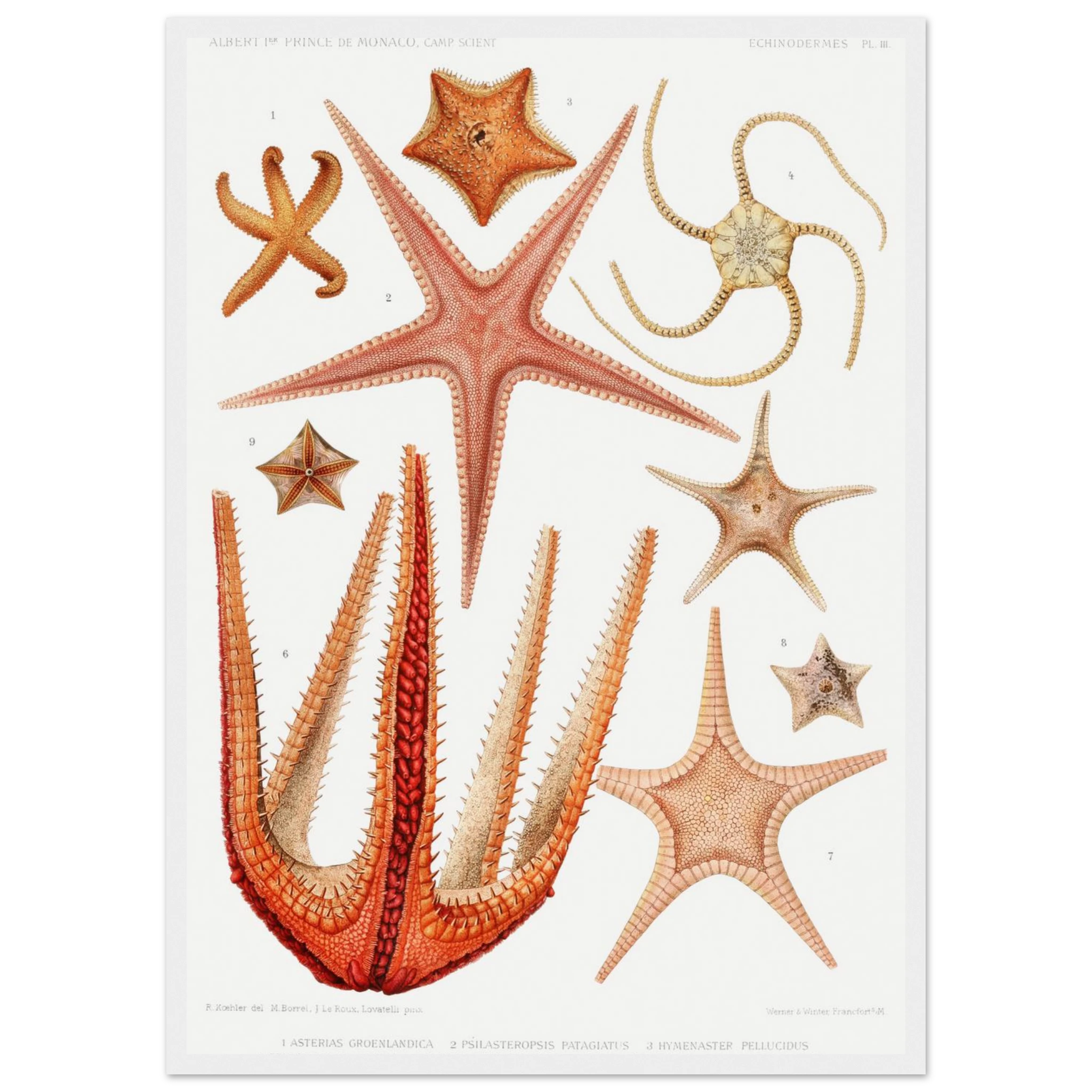 bf841477-59a3-4c24-9582-a80ab0f80cd0