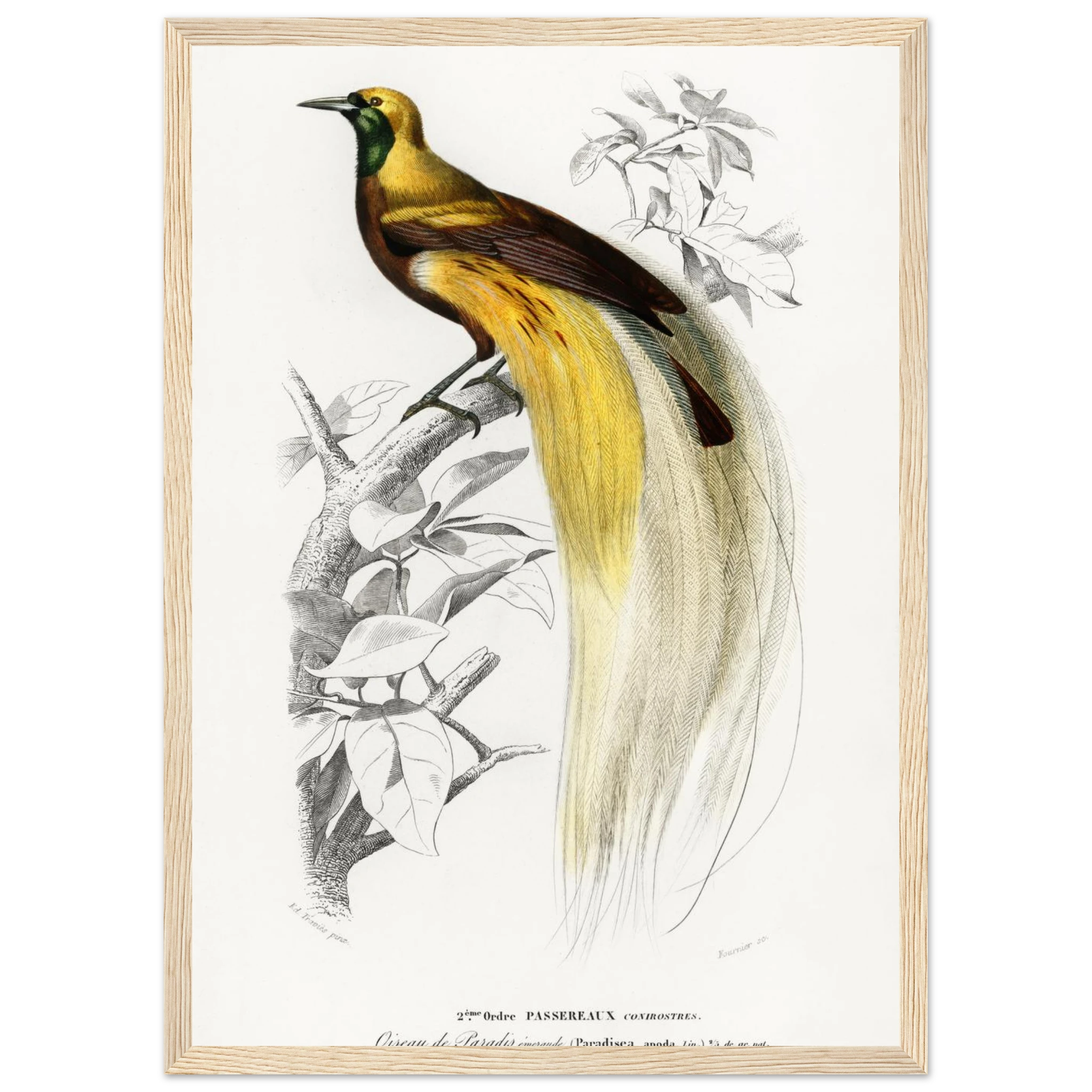 bf954fc8-aee2-42ef-b87d-db6e52dfbd19