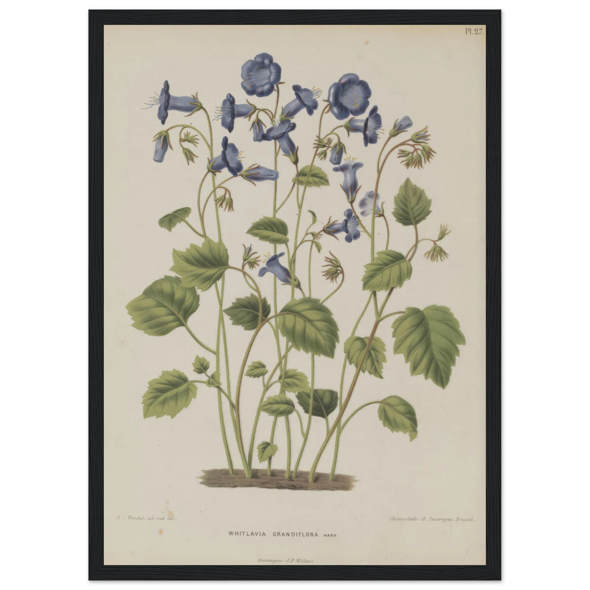 bfdca663-7a2e-49fa-b85e-339fc8d44255