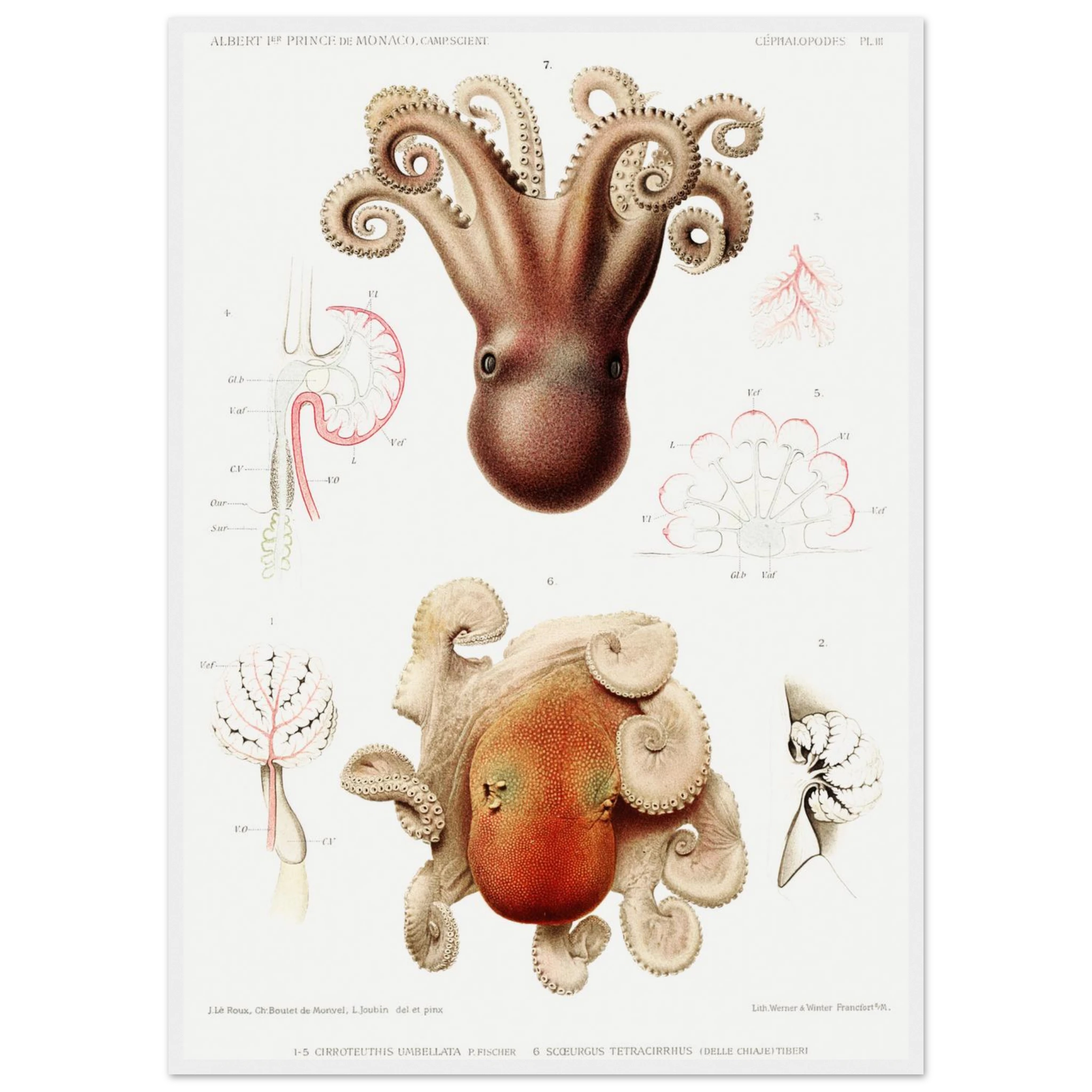 bfe83247-631f-4bbd-9dc4-632968b72eeb