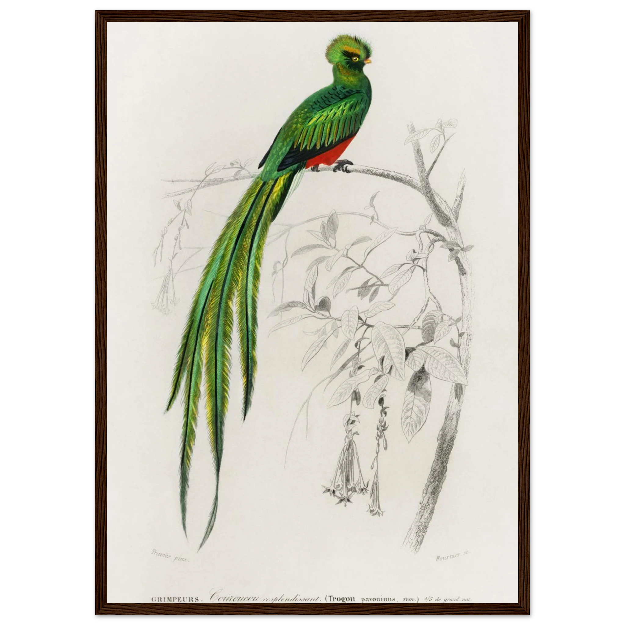 bff287aa-6eb9-4348-8c40-439c2df8f58b