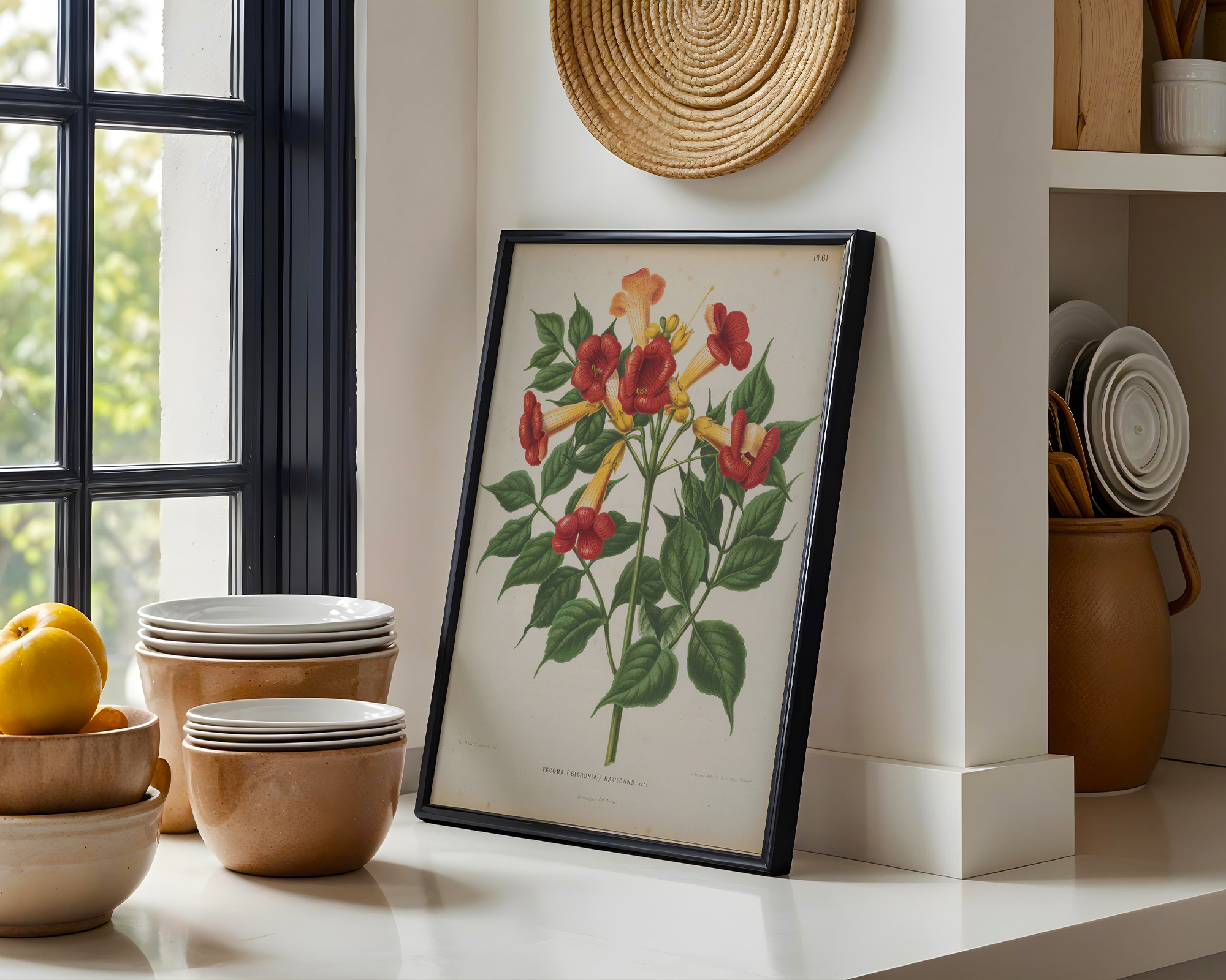 bignonia-radicans-l-a-j-wendel mockup