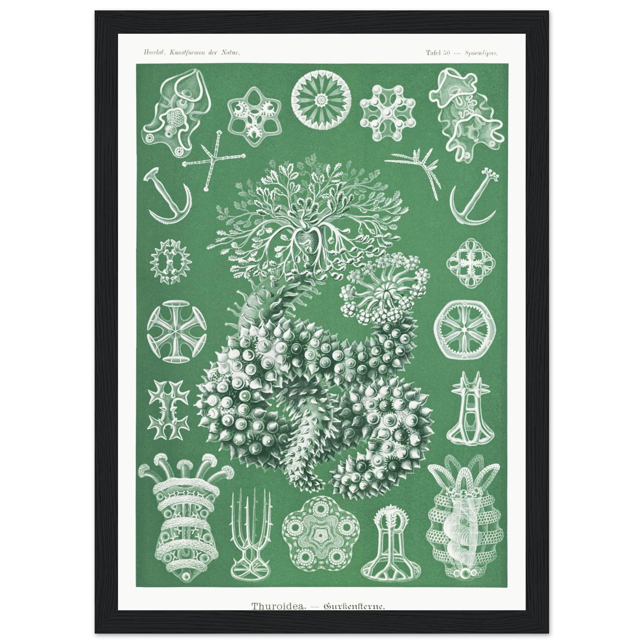 c01e4fe9-c7eb-44f0-88b8-7470f82332fe