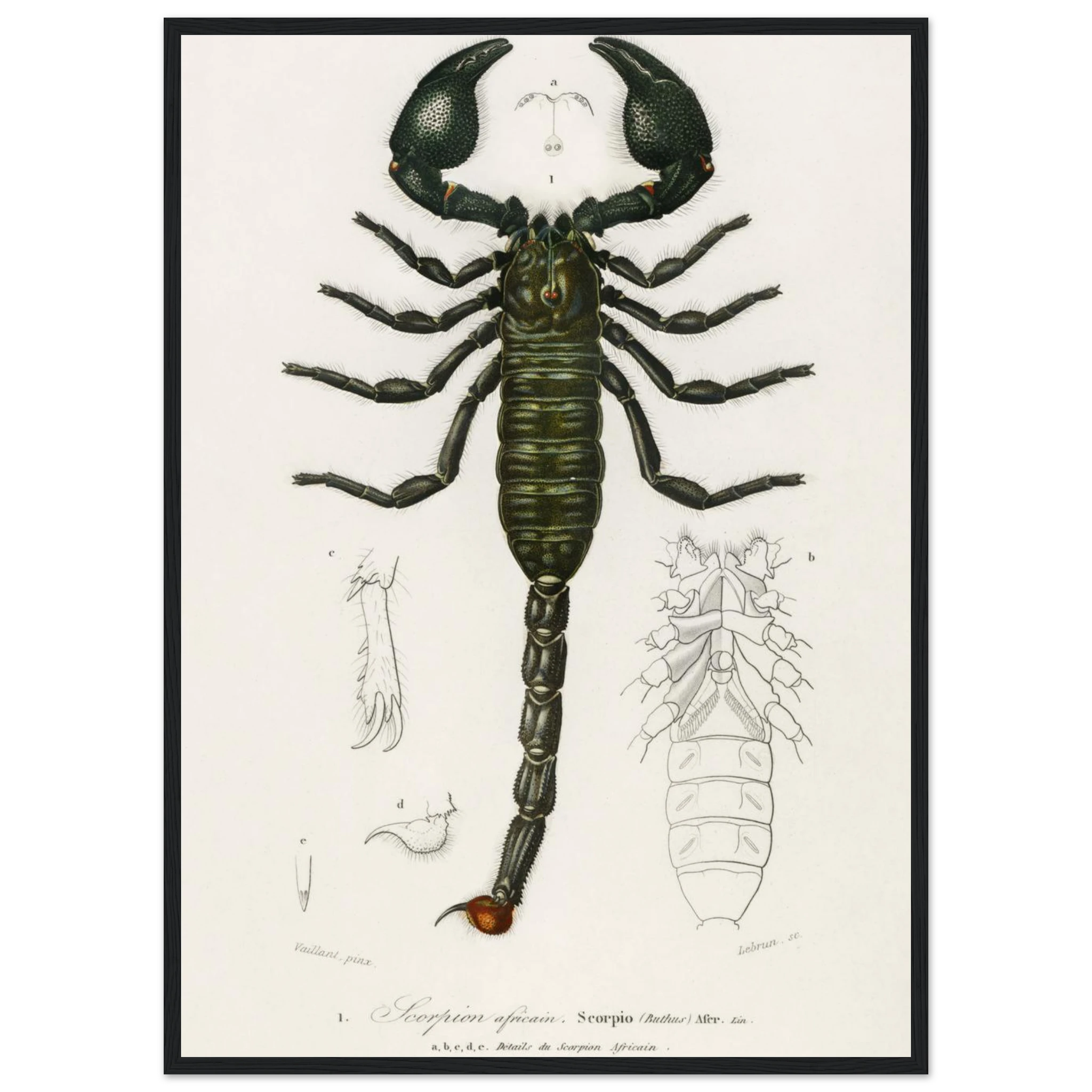 c058e1a4-1933-4569-98fb-26fd54668610