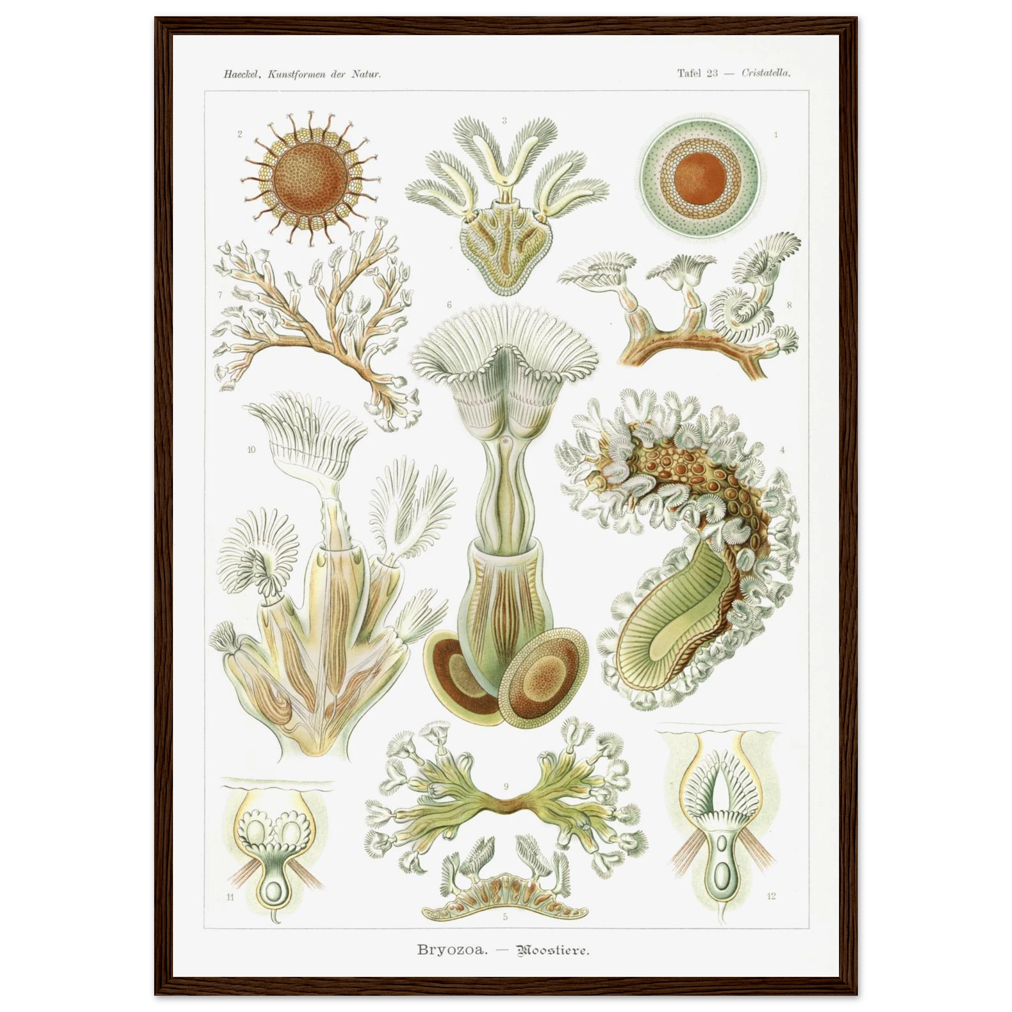 c059dc76-dc45-4859-a393-8ea39cdabd5b