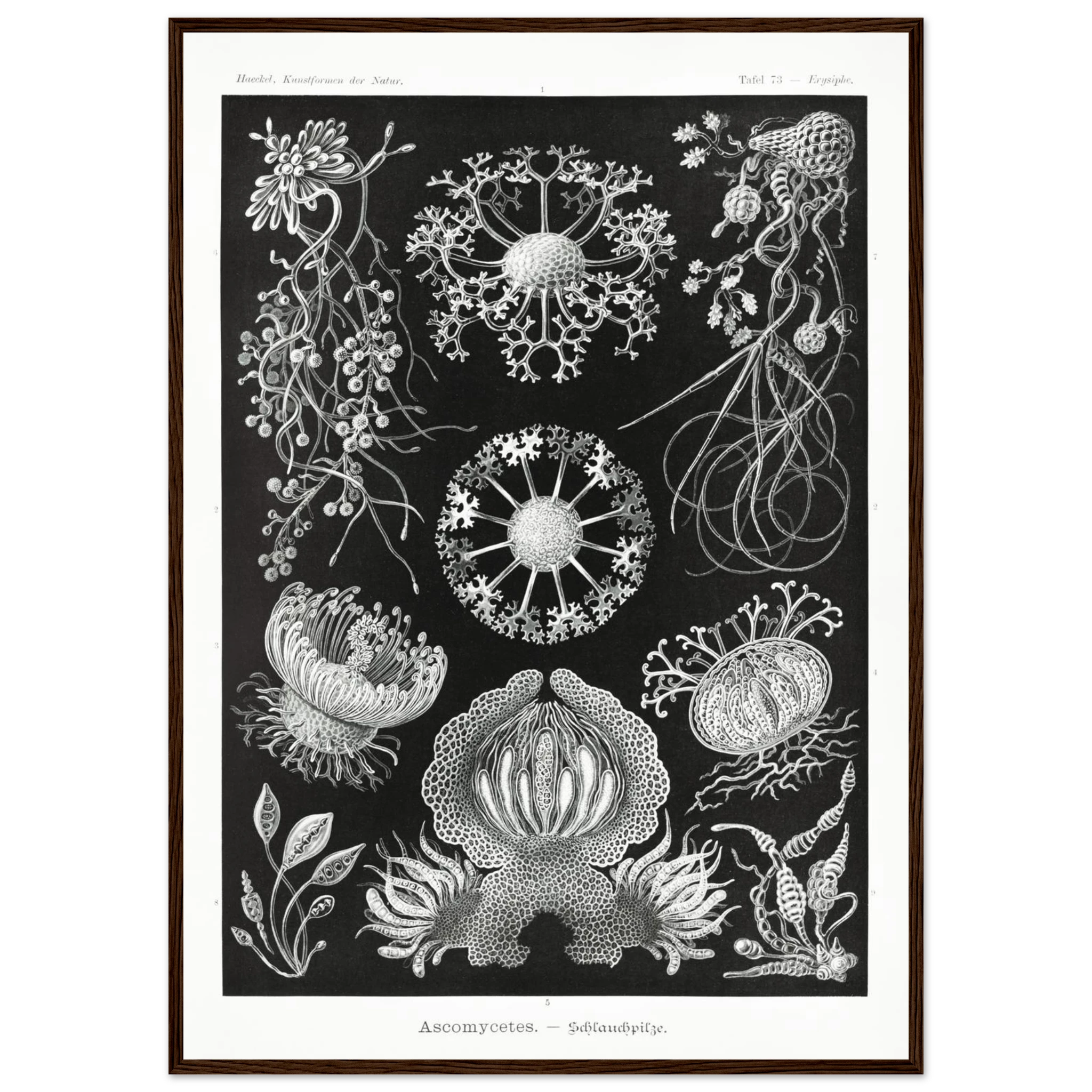 c07499b4-4a3b-4c24-a02e-70137836ef63