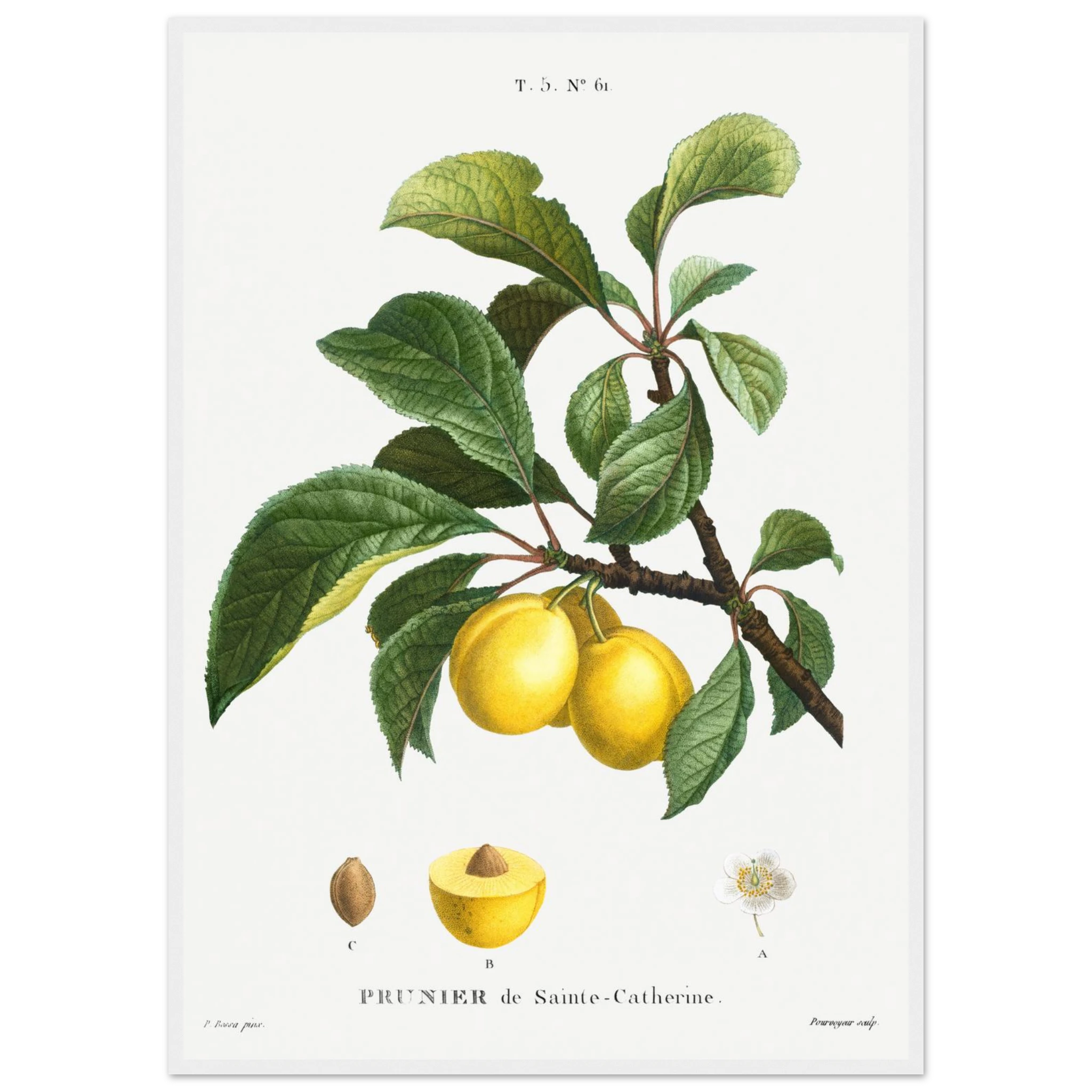 c086a8a5-125b-49c6-8211-010970dde6ca