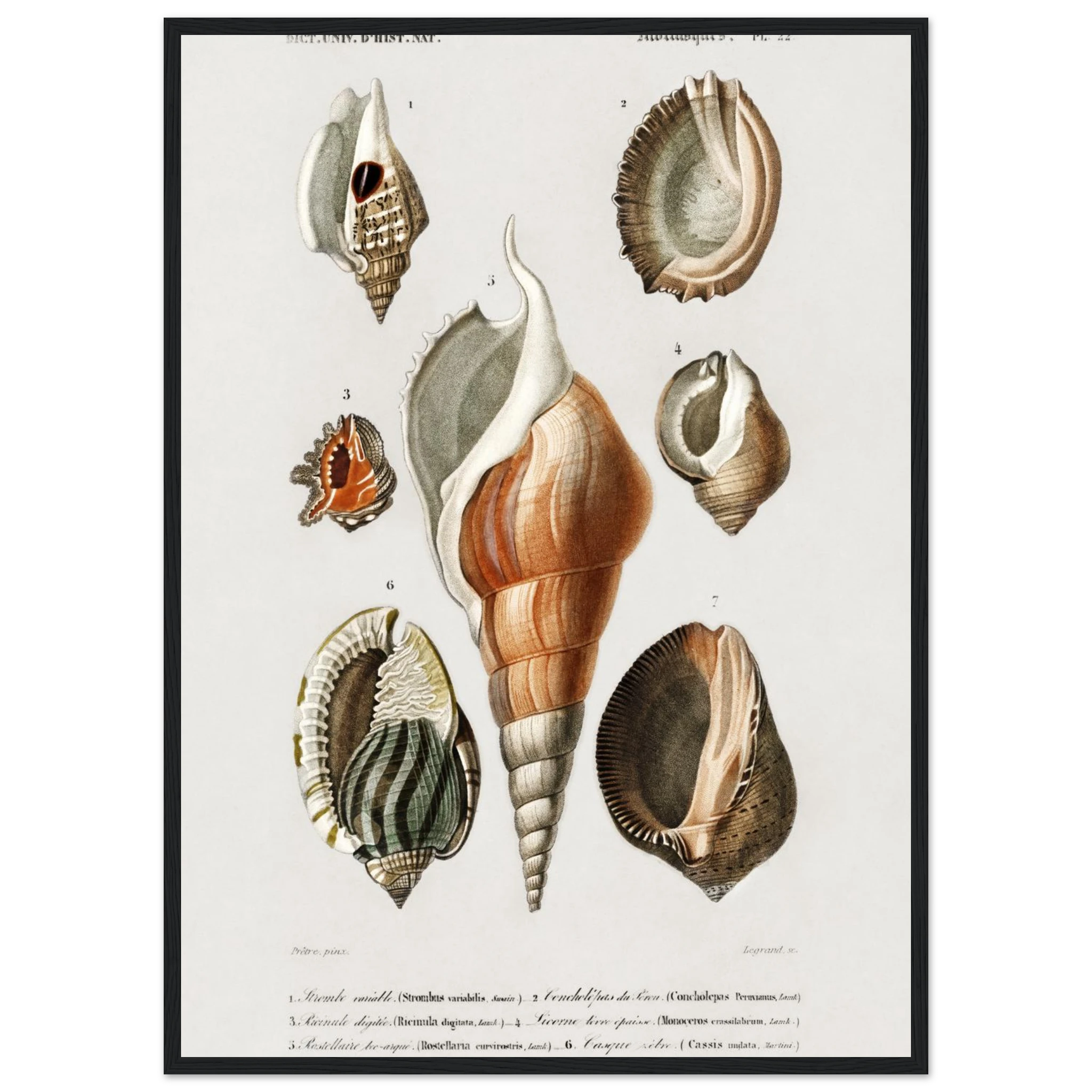 c0dceaaa-ad06-4adc-8009-d48f8b3019a4