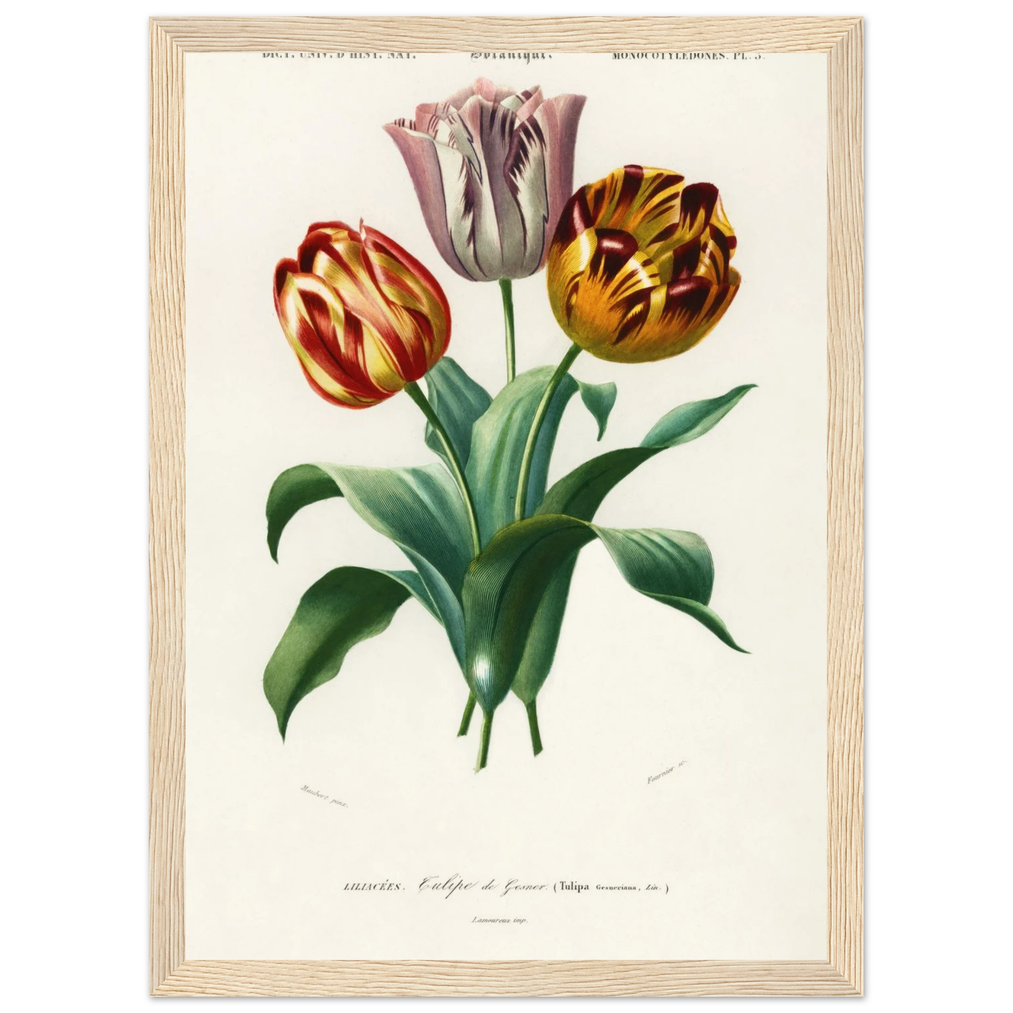 c18c8f06-26a7-4623-9bd0-2905f902e91a