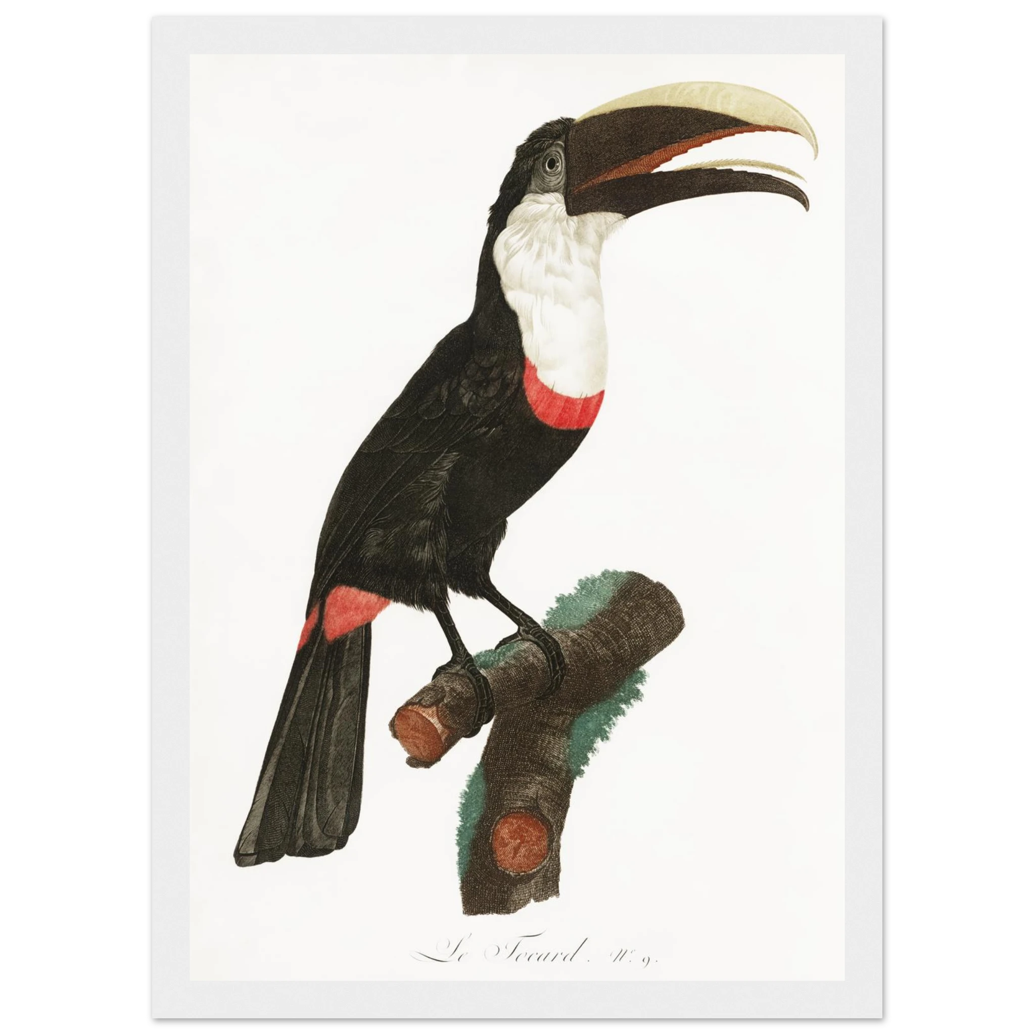 c1e17a6d-fb1e-441f-8f4c-814a6dbfa8f4