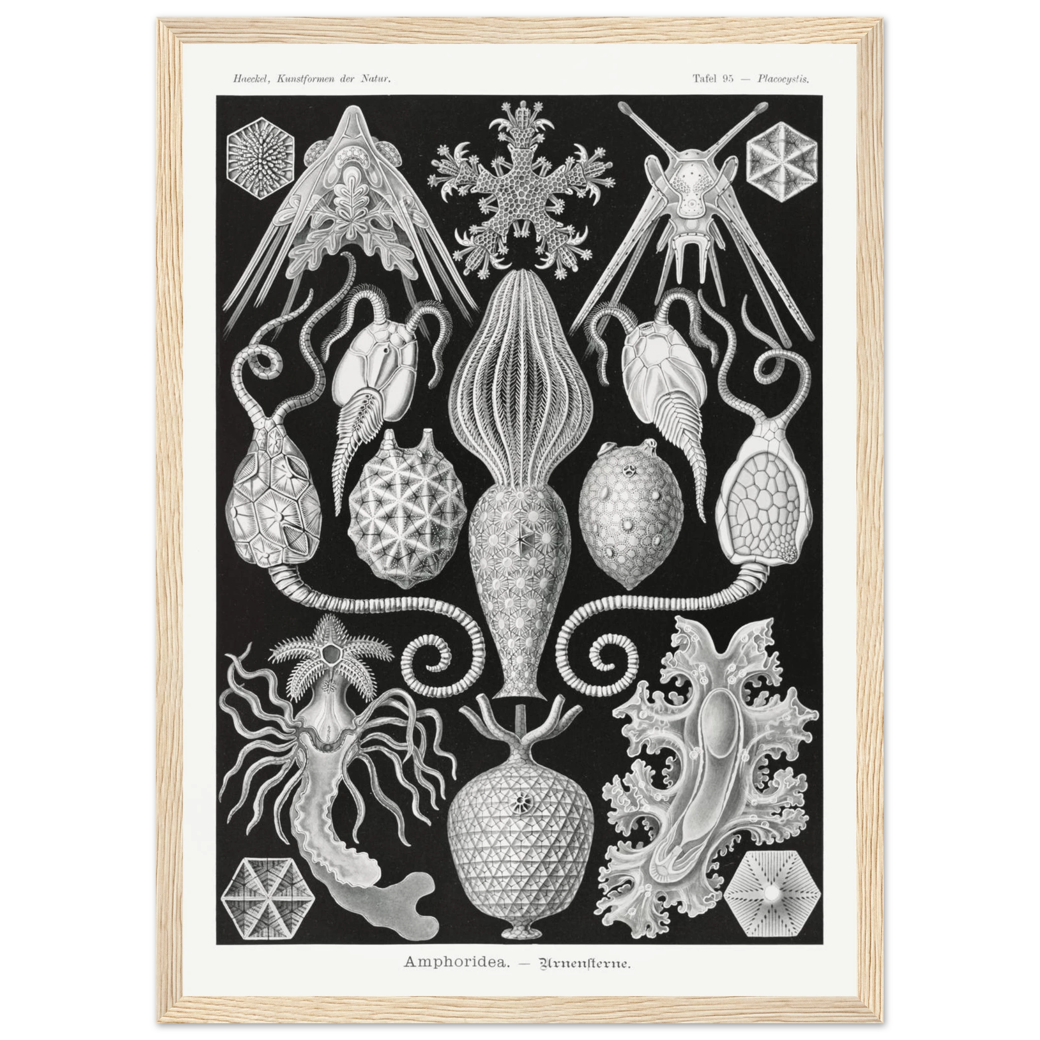 c1fc6d8f-1e92-460d-9a65-812b6f1f78fe