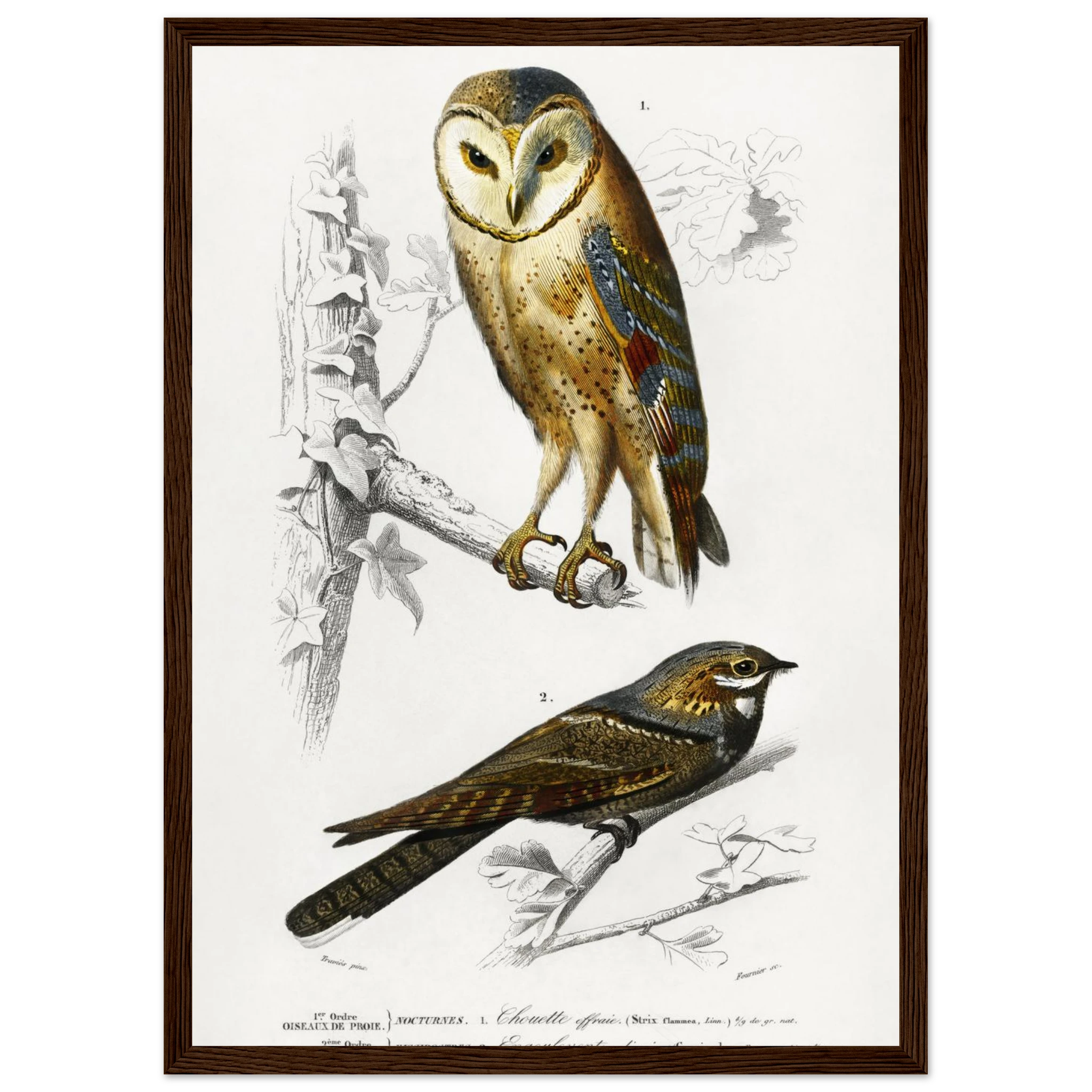 c2108912-8e88-4ffb-a8fd-2a5ab73749ac