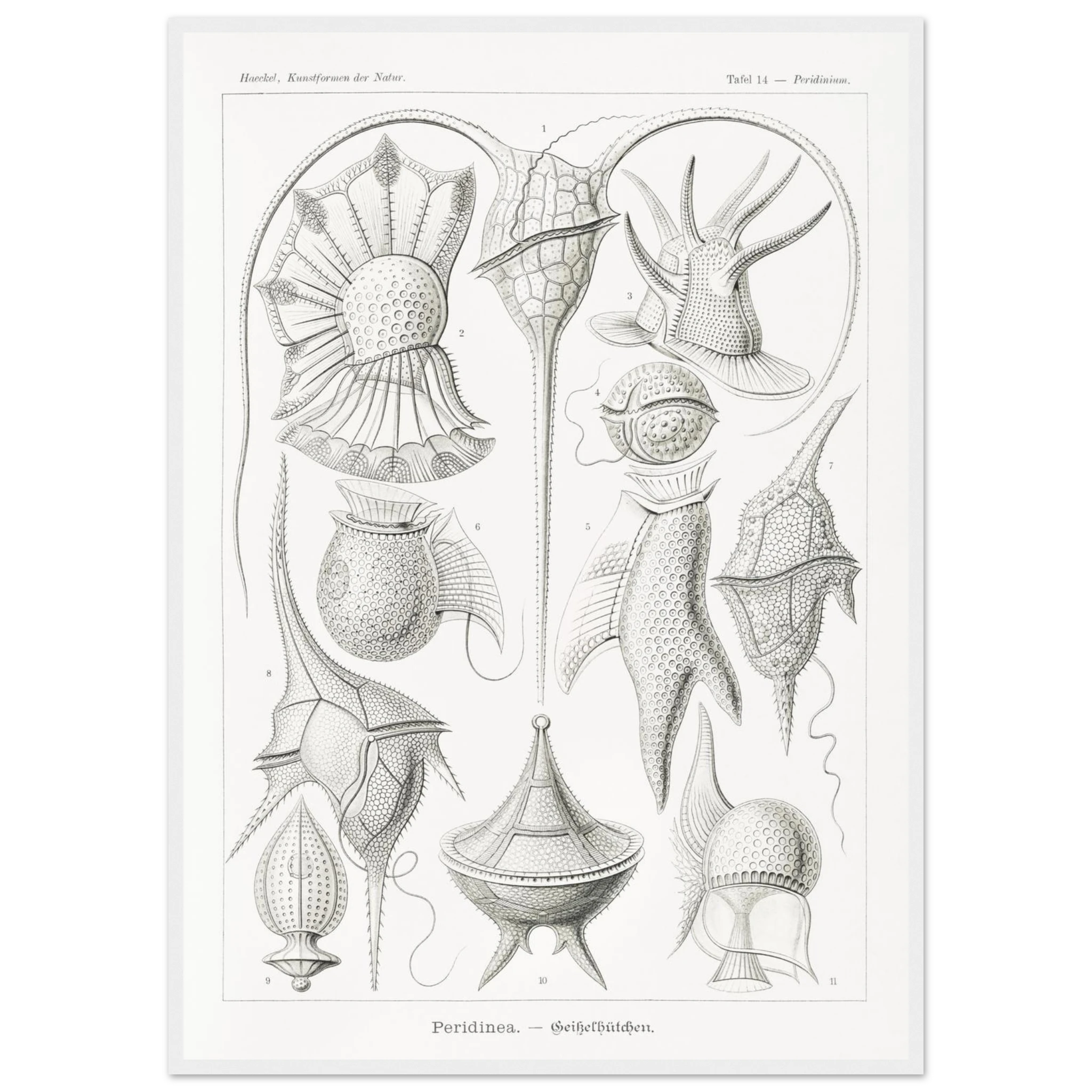 c26831a7-e98b-49fc-bc10-7a8df82cdc64