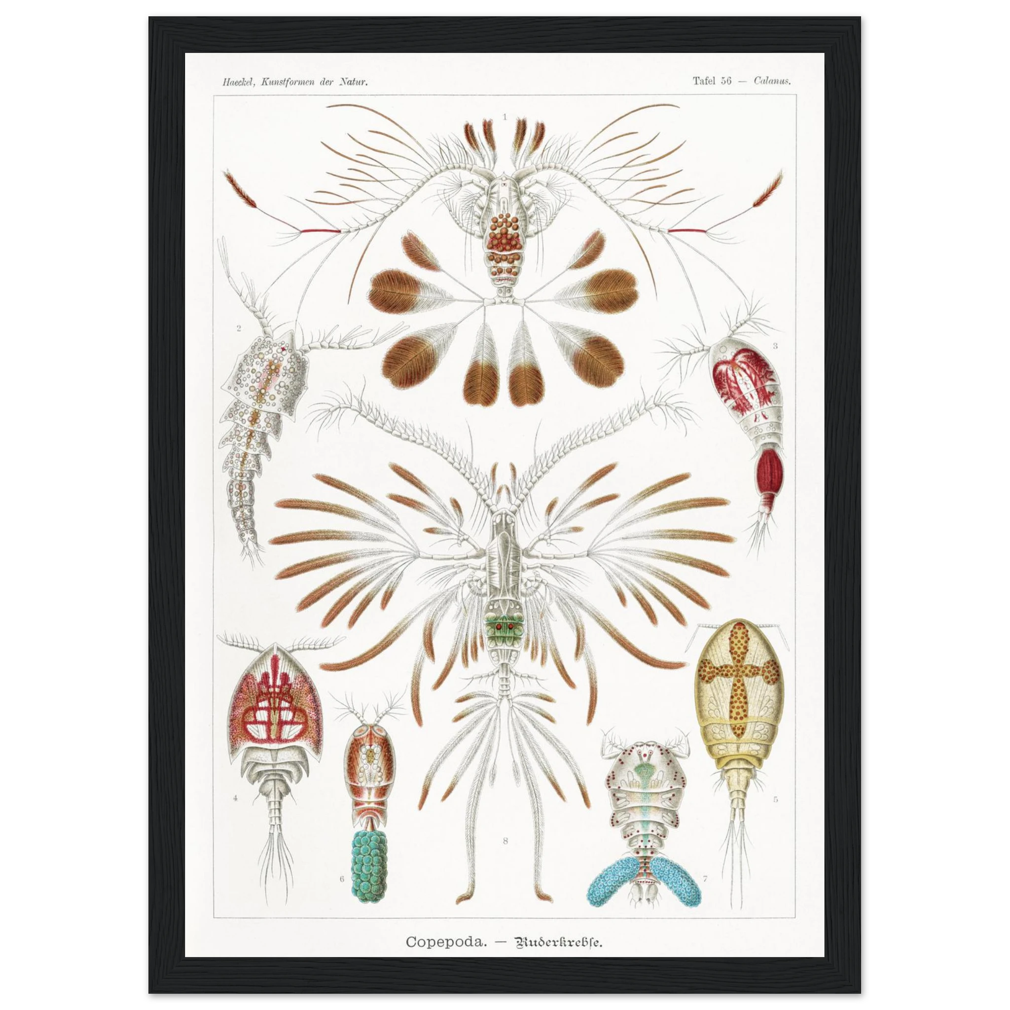 c2b78cd3-d382-46cd-af76-c514249395db