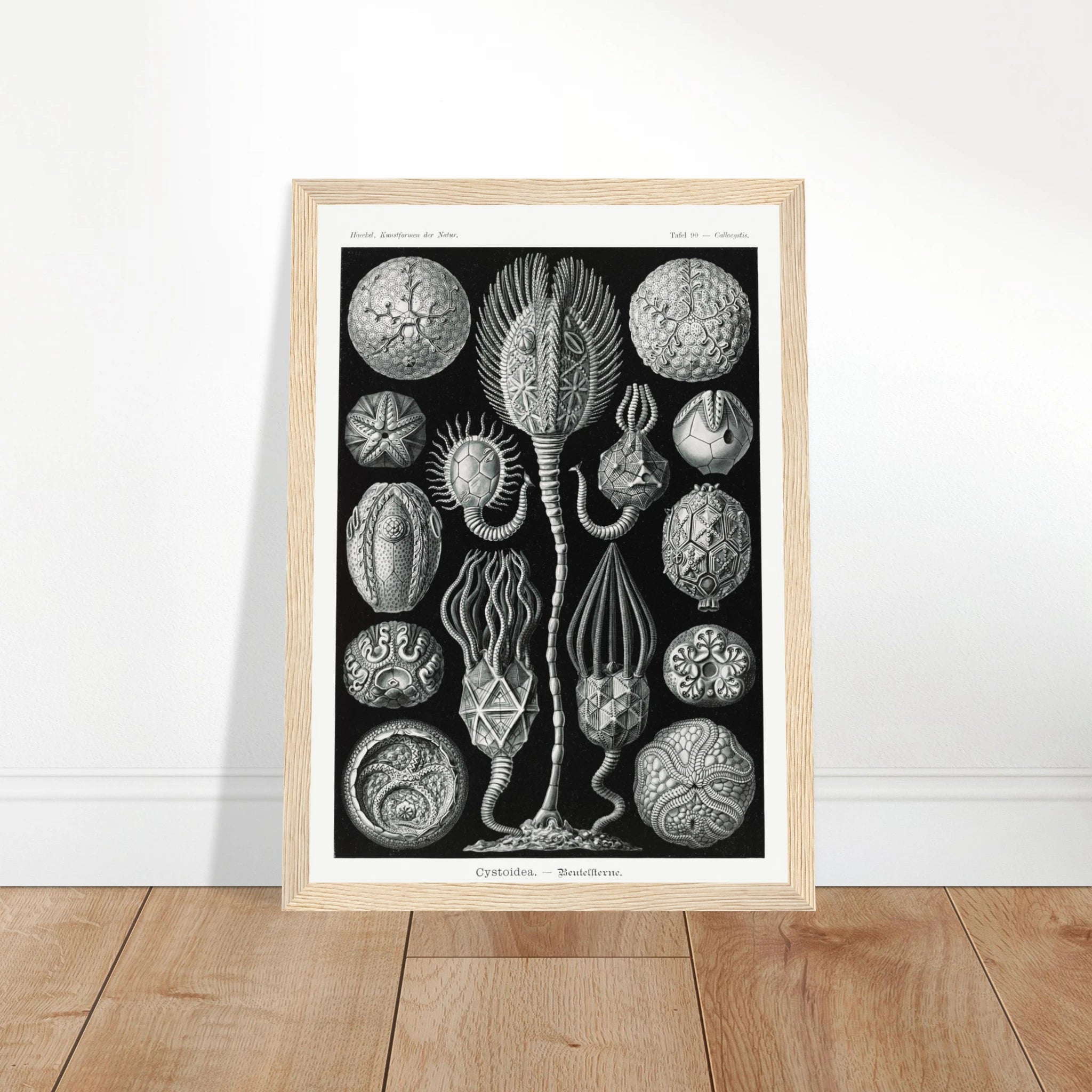 c2c5f839-e6cf-42bd-916c-119889d61245