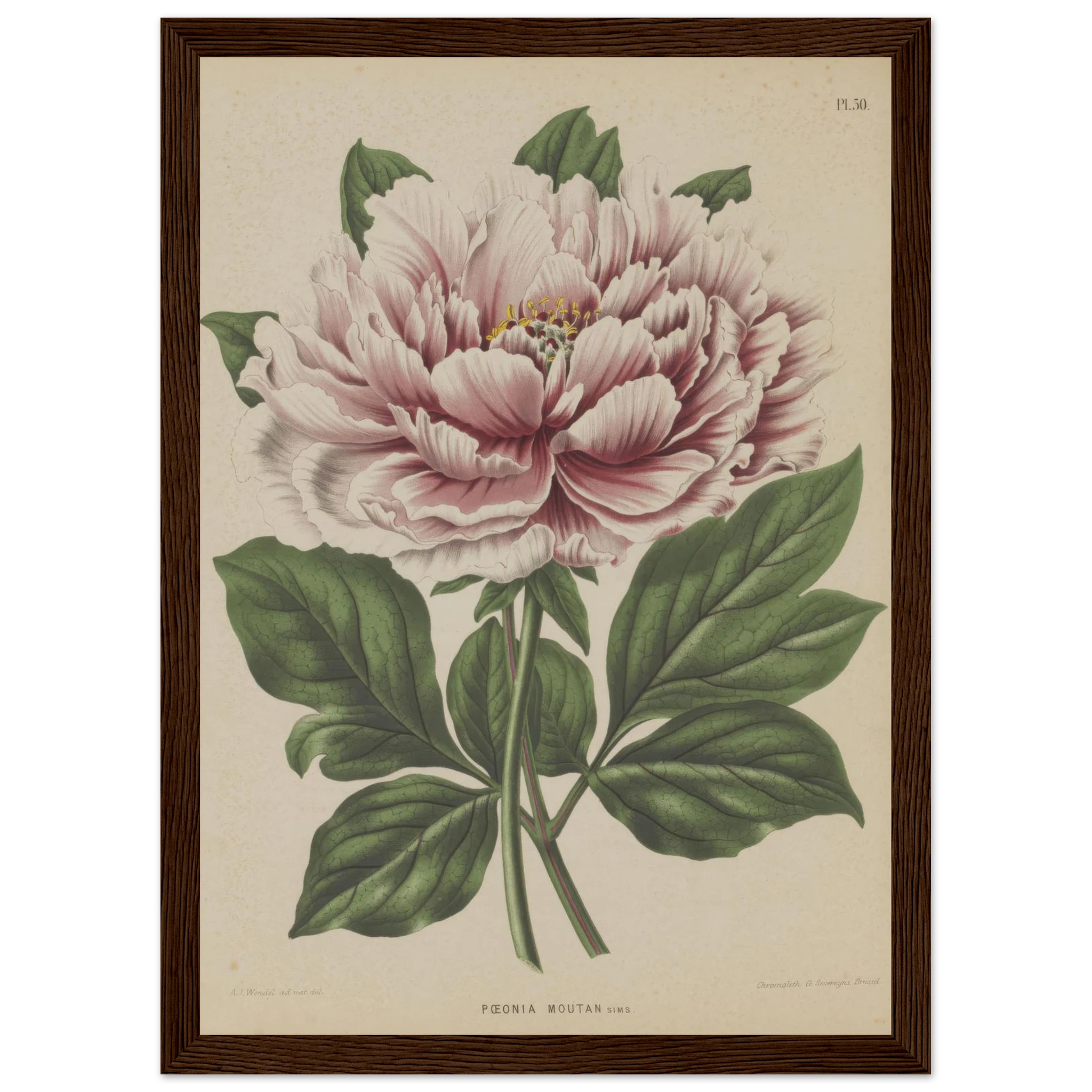 c2e190e7-2f04-46f7-82c7-5da80b950e53