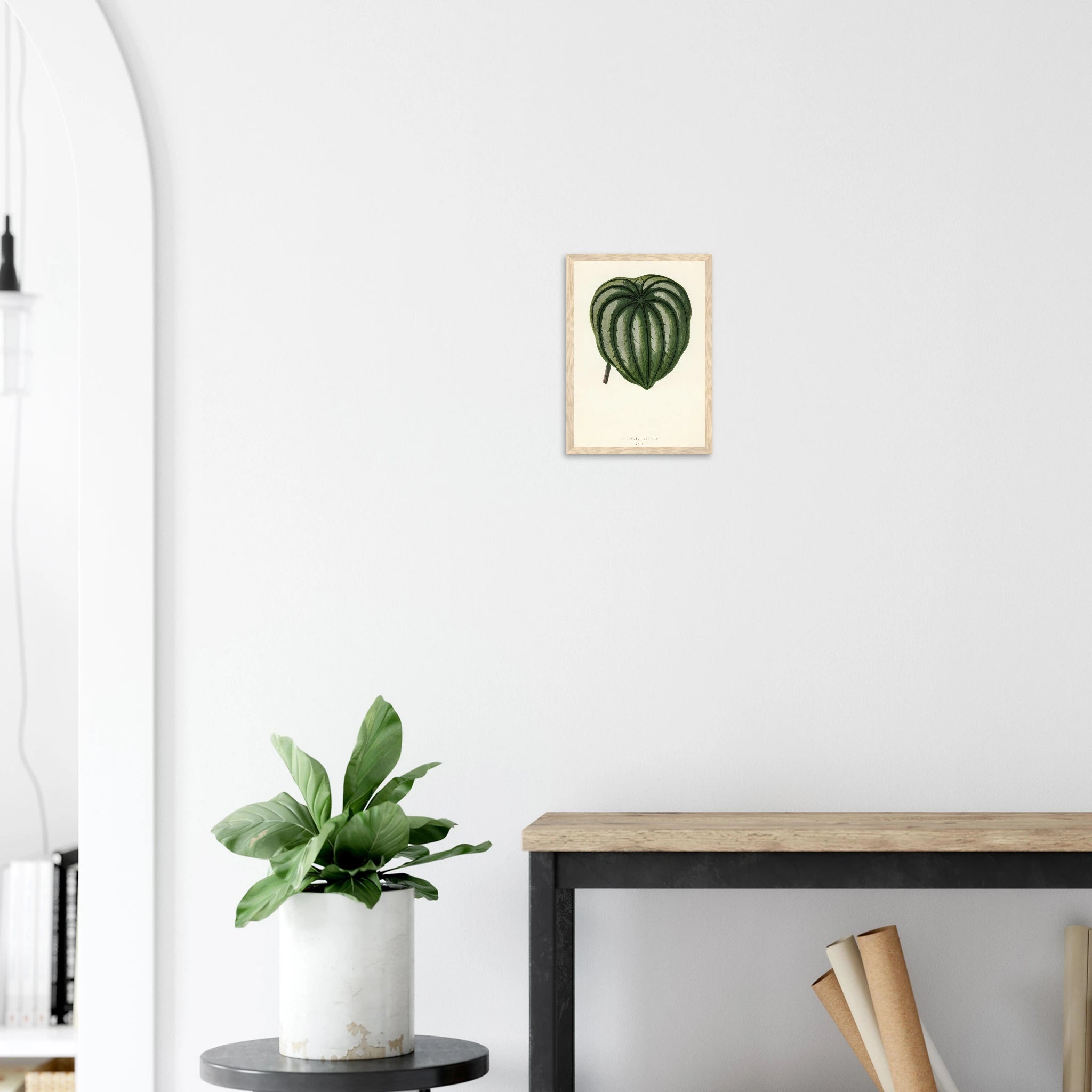 c2e6f669-a55f-442b-b292-8f56f8f05412