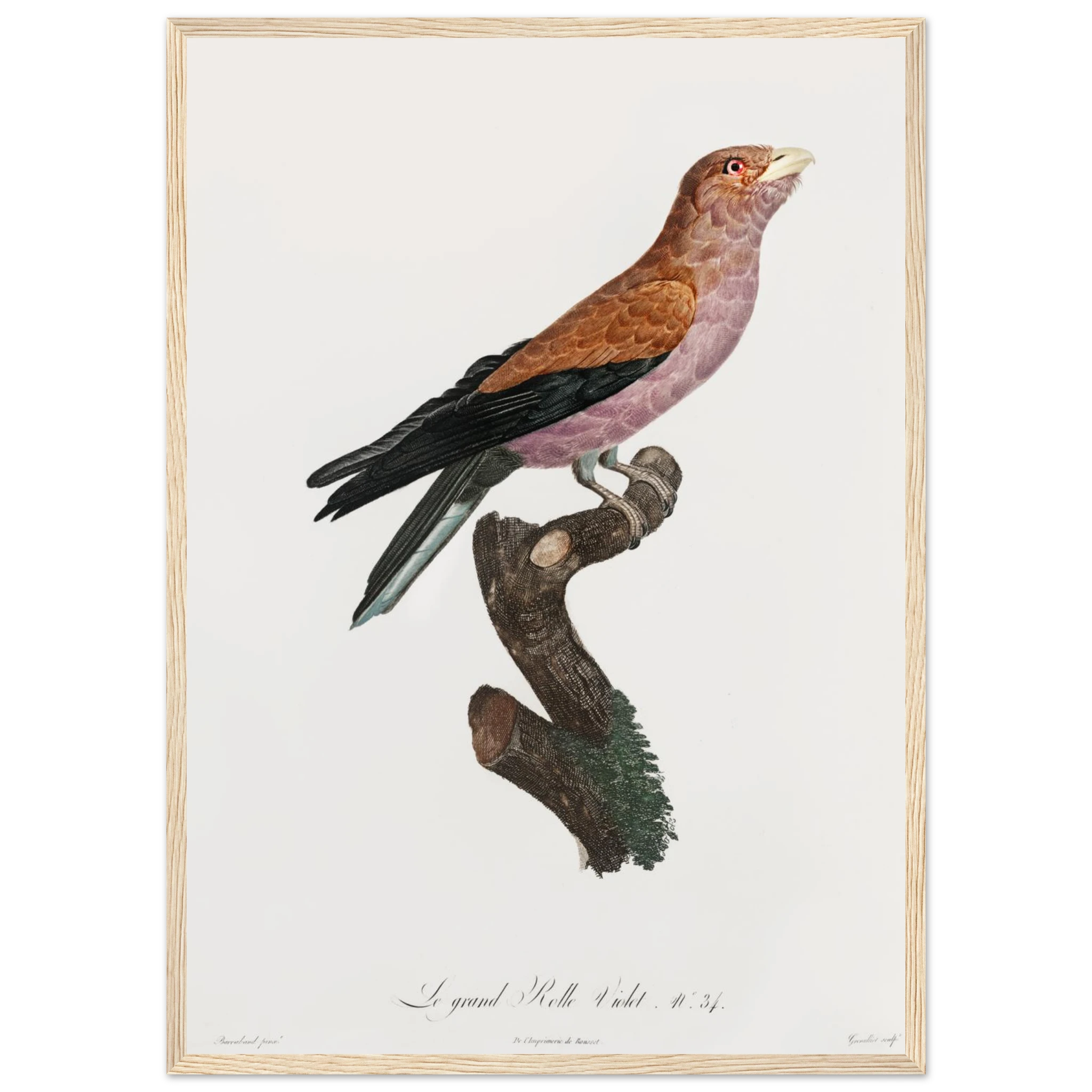 c31de3f3-58cb-42c2-86ee-7f4890846fd7