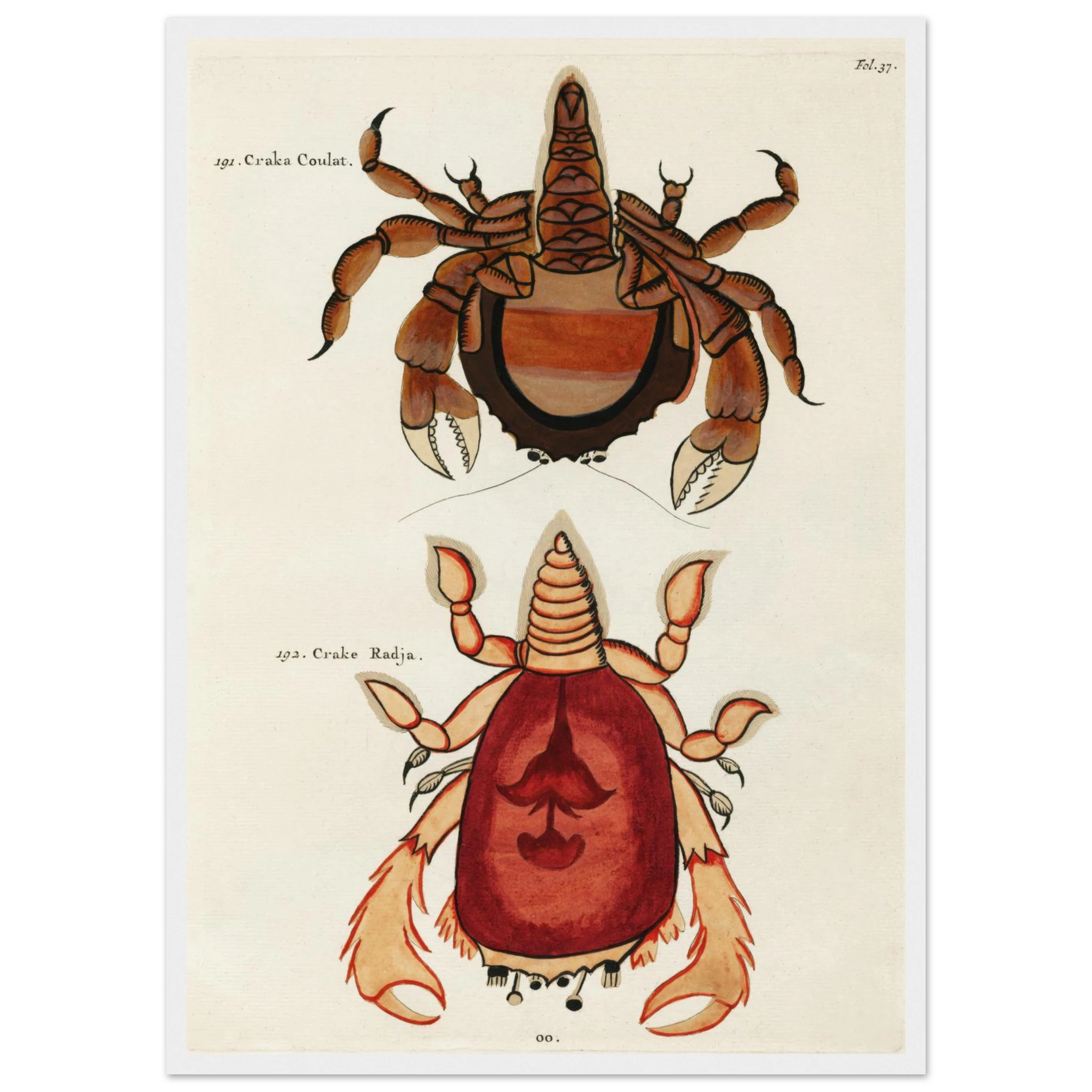 c33ad32e-3ea6-4522-b488-c64e1570eced