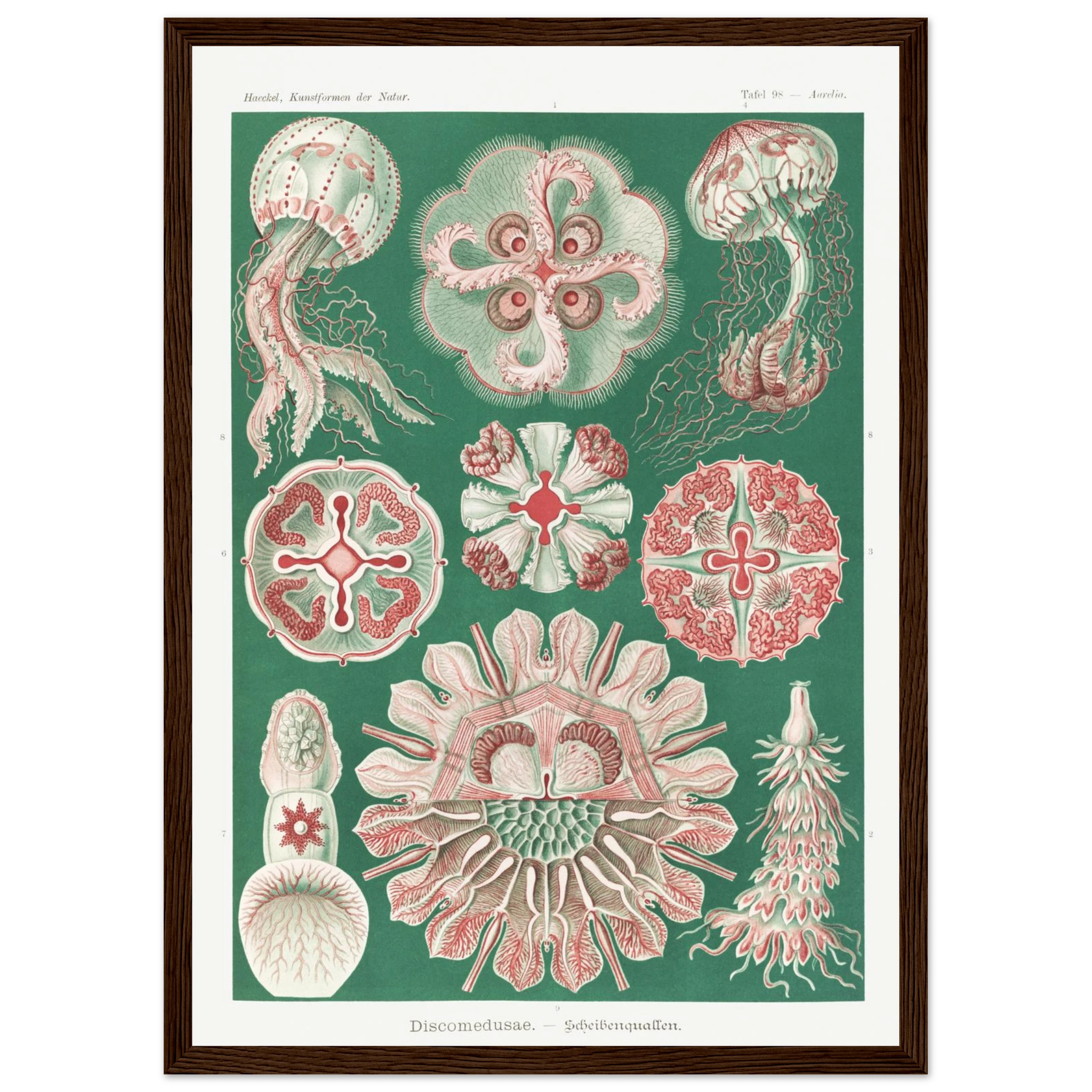 c35d4325-535f-4df0-8bd9-46fee897d839