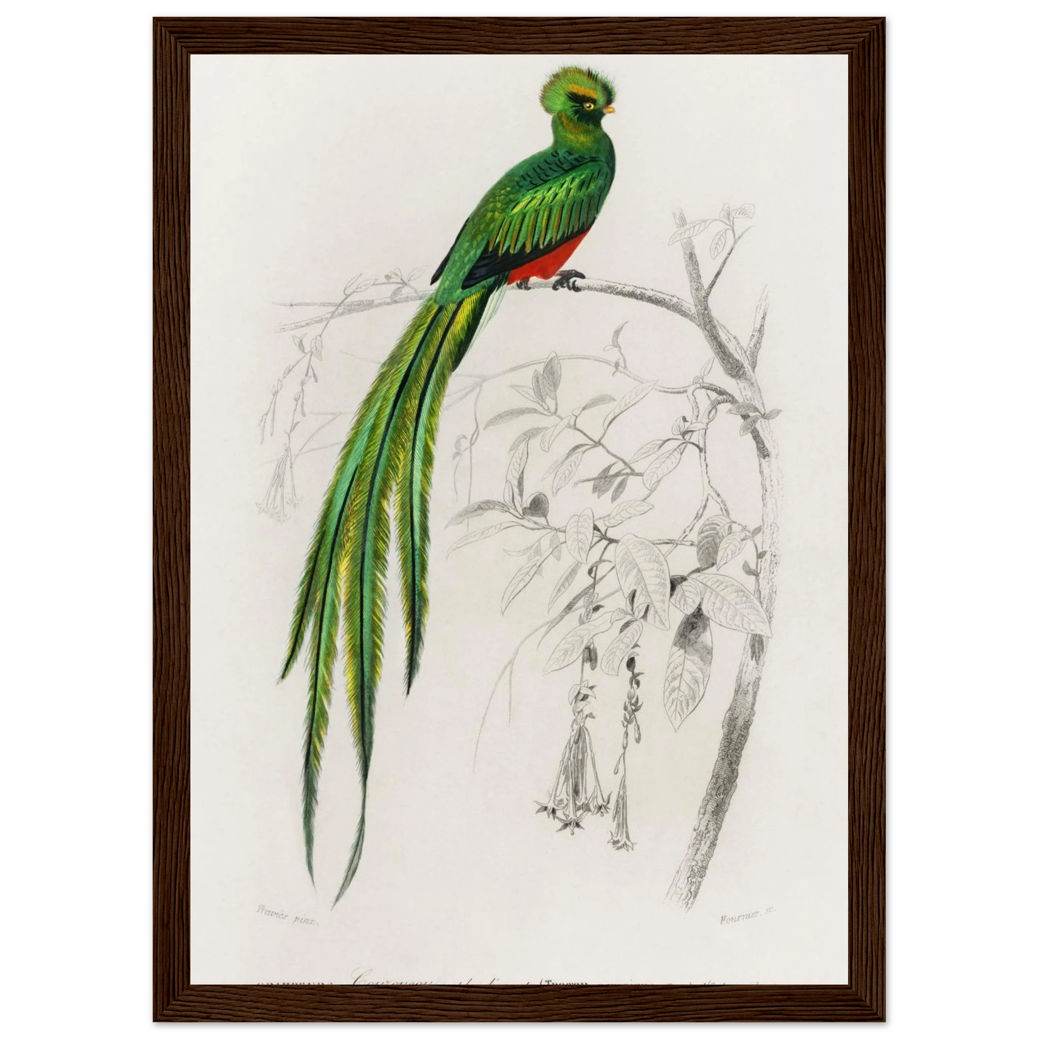 c37b346f-2254-4bfd-8065-3d9c76304907