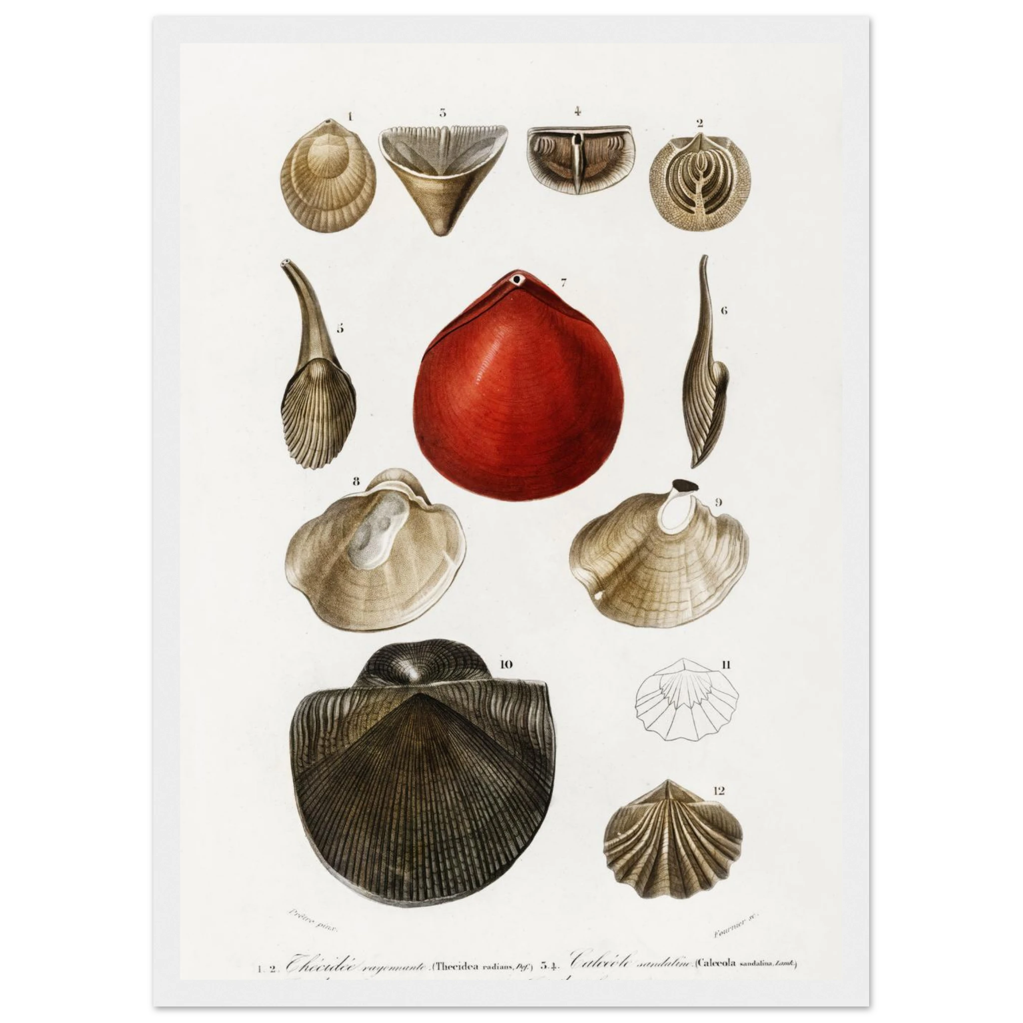 c3878c6a-f621-493f-b2ff-eb5af9da6601