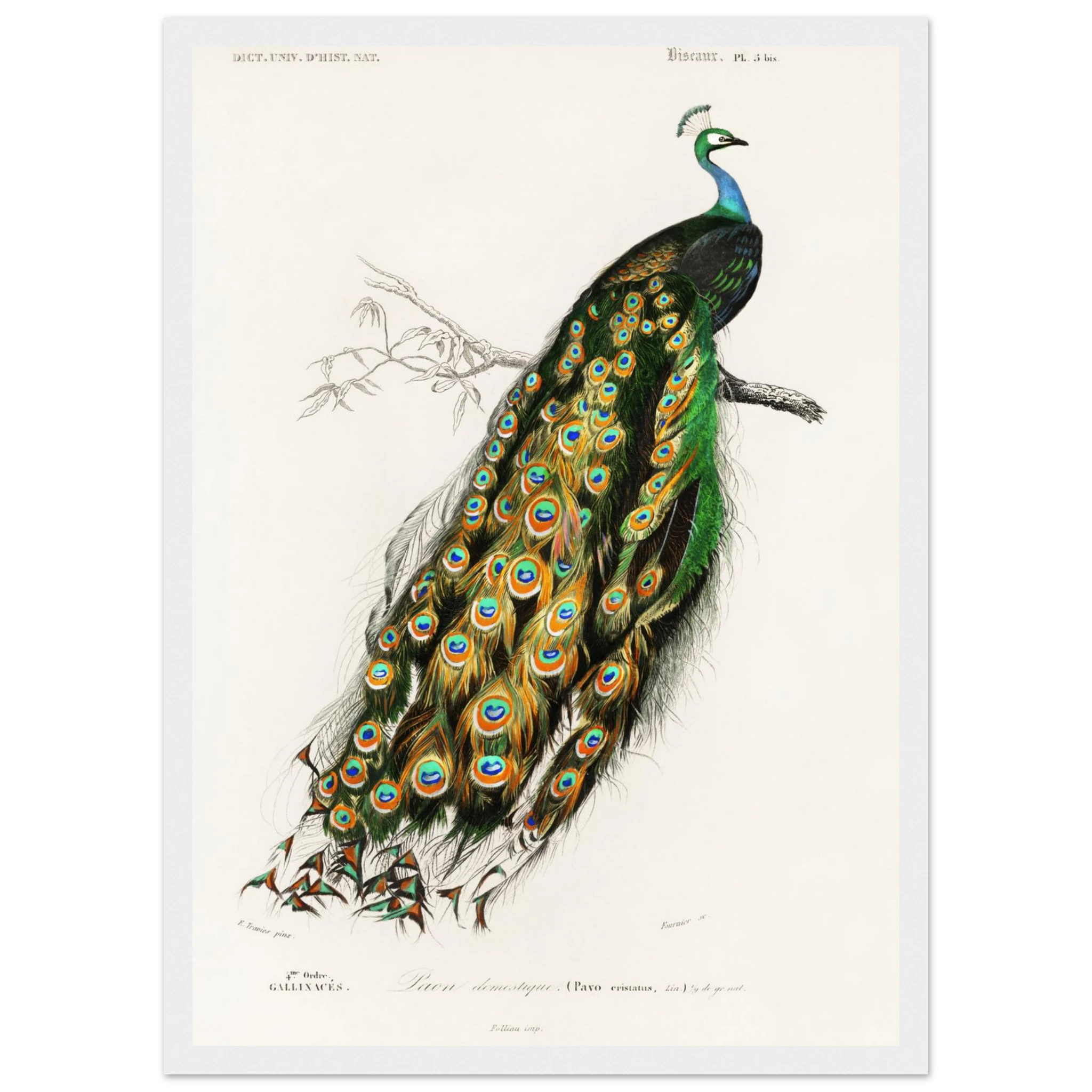 c38a4f4c-1cf2-45c0-8087-b85ecee9f433