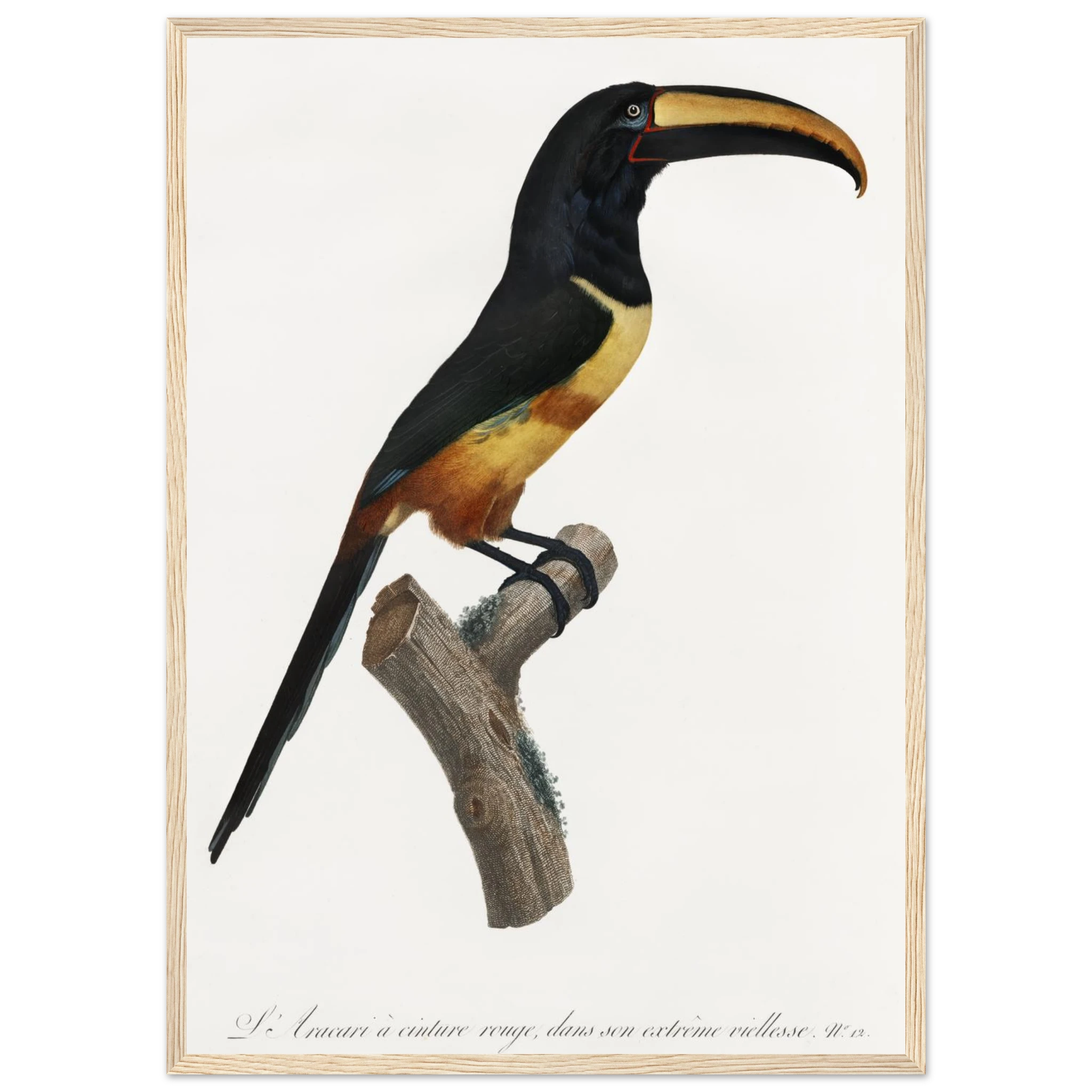 c3bbeafb-3f3a-43c6-ae9a-b14a45d2f8eb