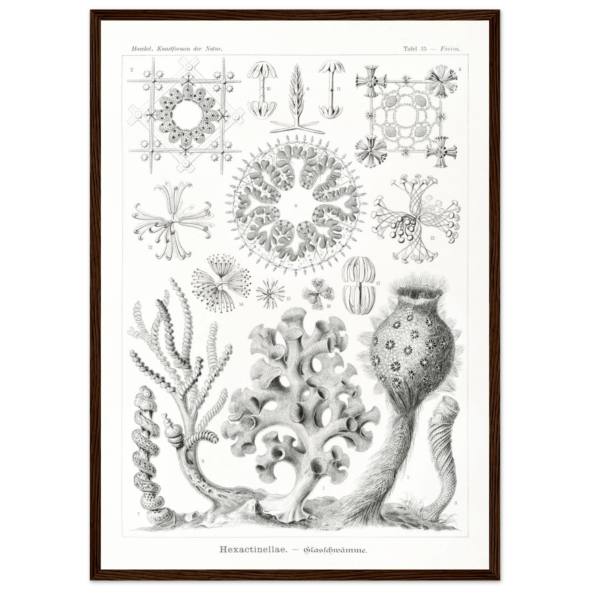 c3bccefc-a09f-44c1-b832-9a3704ba9f11