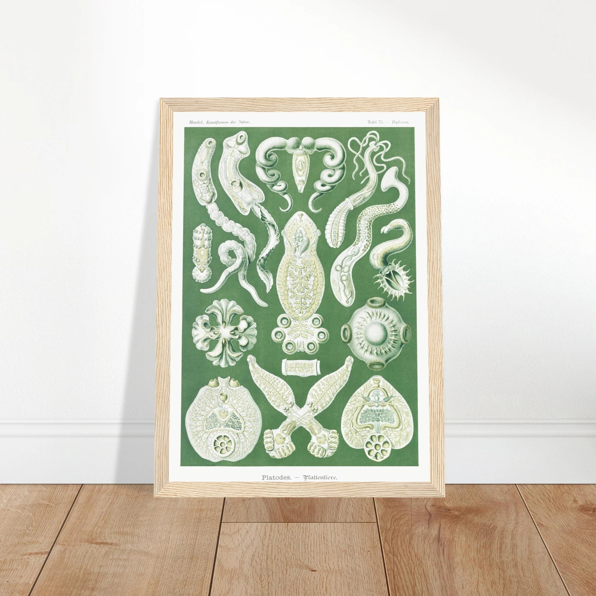 c4044a77-580a-4e94-b1ac-bb3e6a7cbd0e