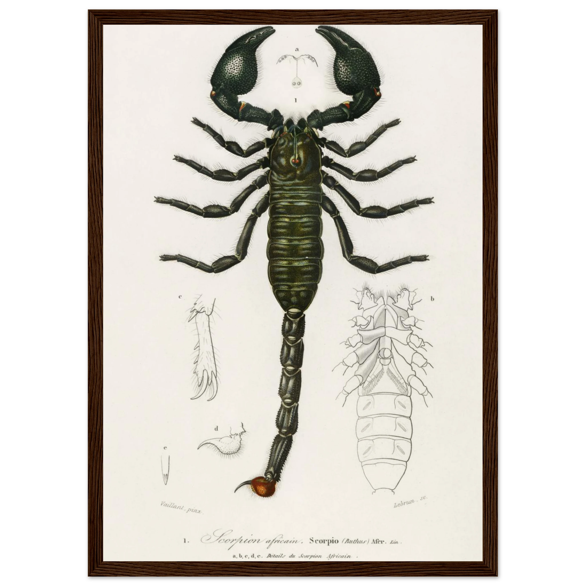 c420495b-db1d-4ec0-8683-4eda958e991c