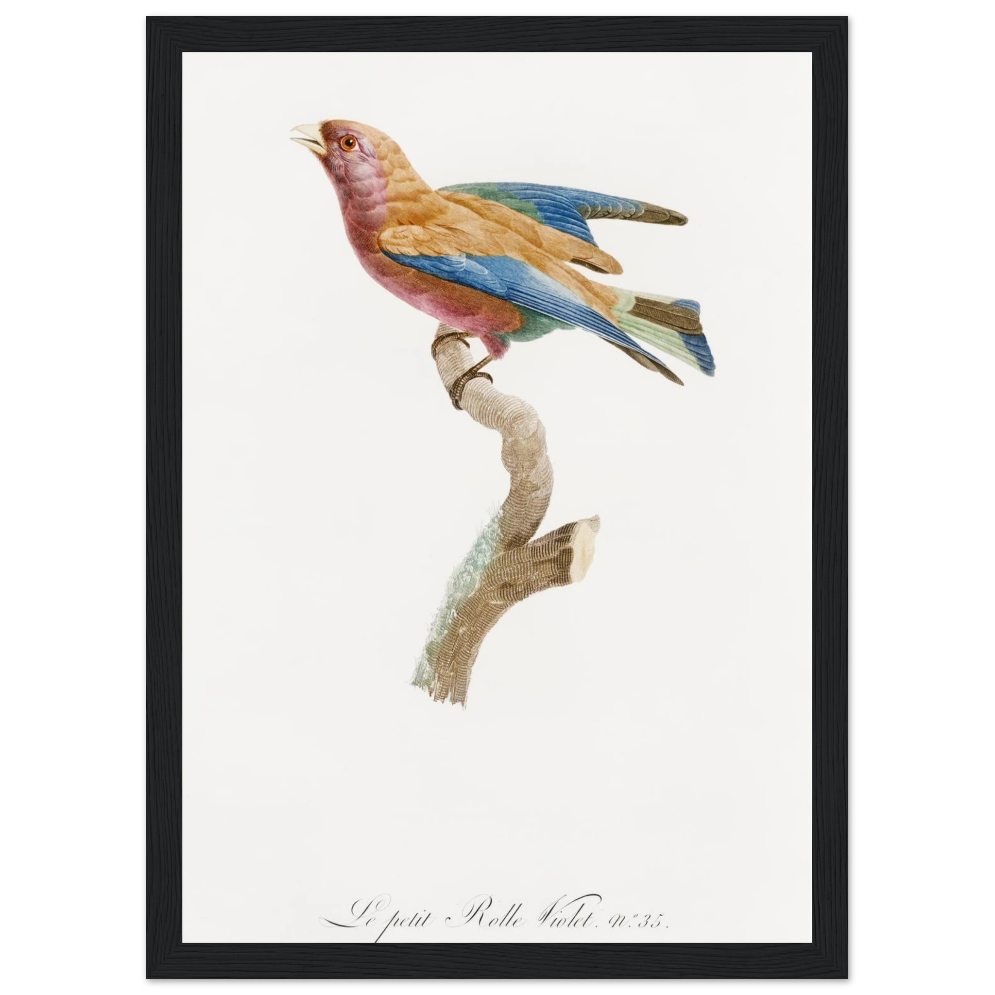 c42e5553-cb6f-4d9b-80fb-3a7553007357