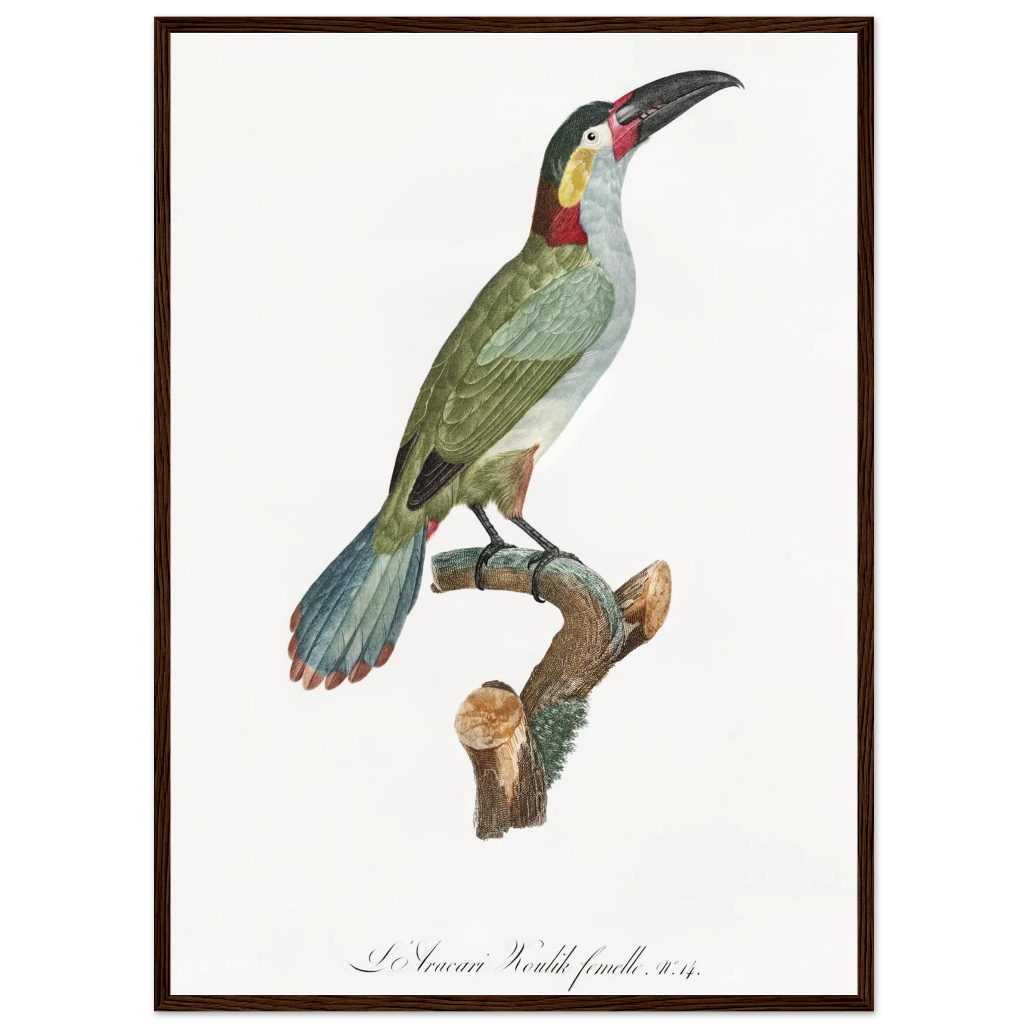 c4f81a85-5d7f-42fa-a516-fe7695b125cc