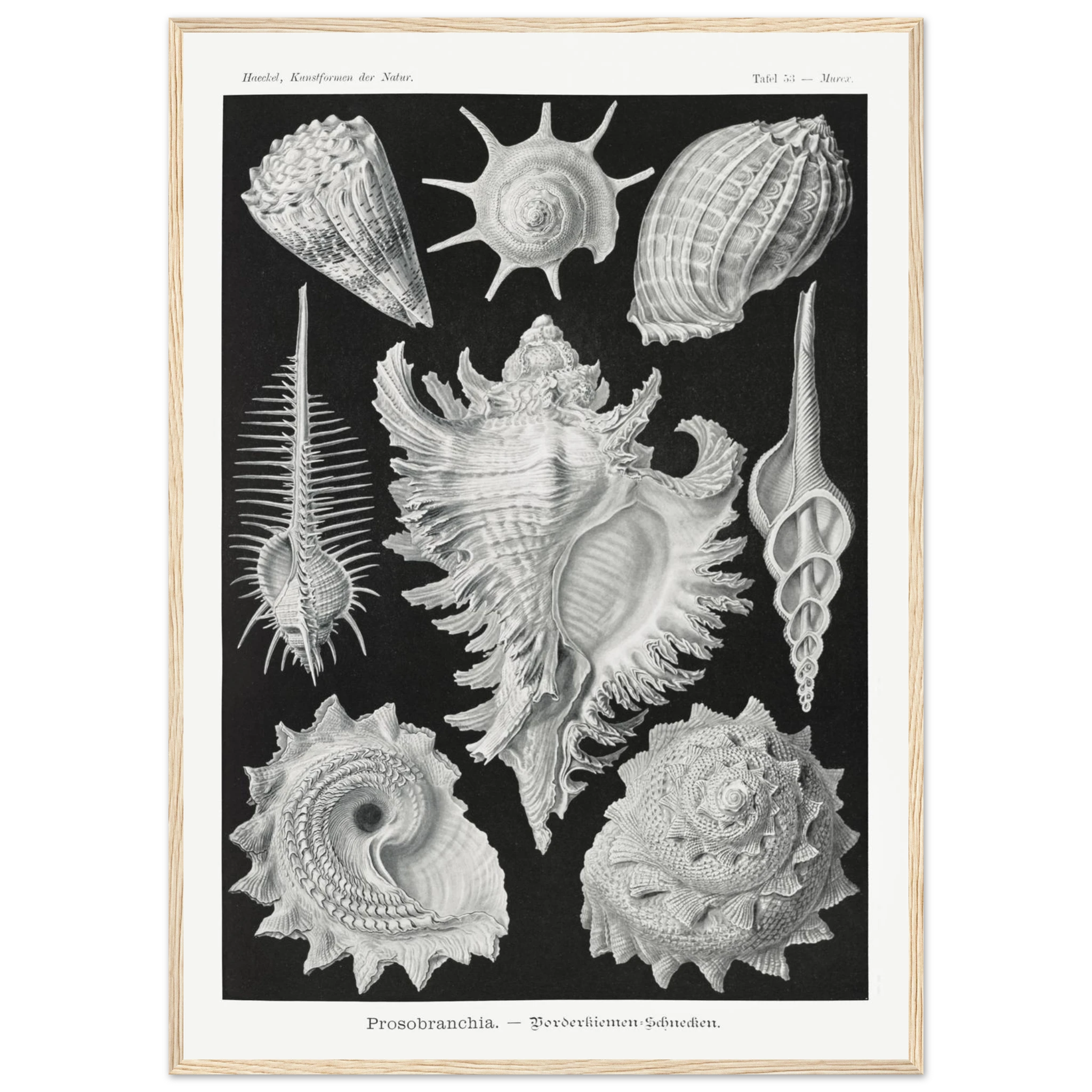 c5132435-5628-4915-bacc-ecd396e2646c