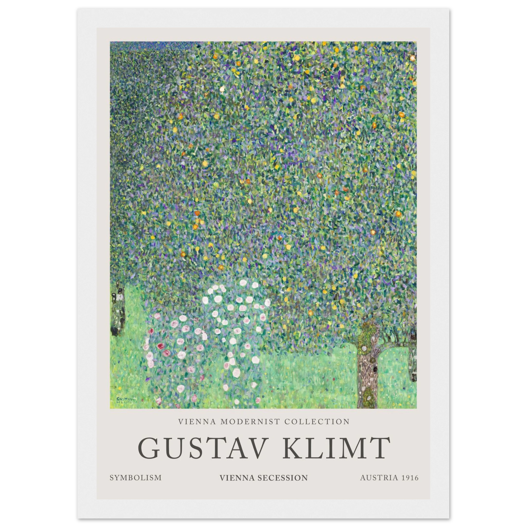 c518d00b-fbd9-4f3e-a37a-7c2ee00127e2