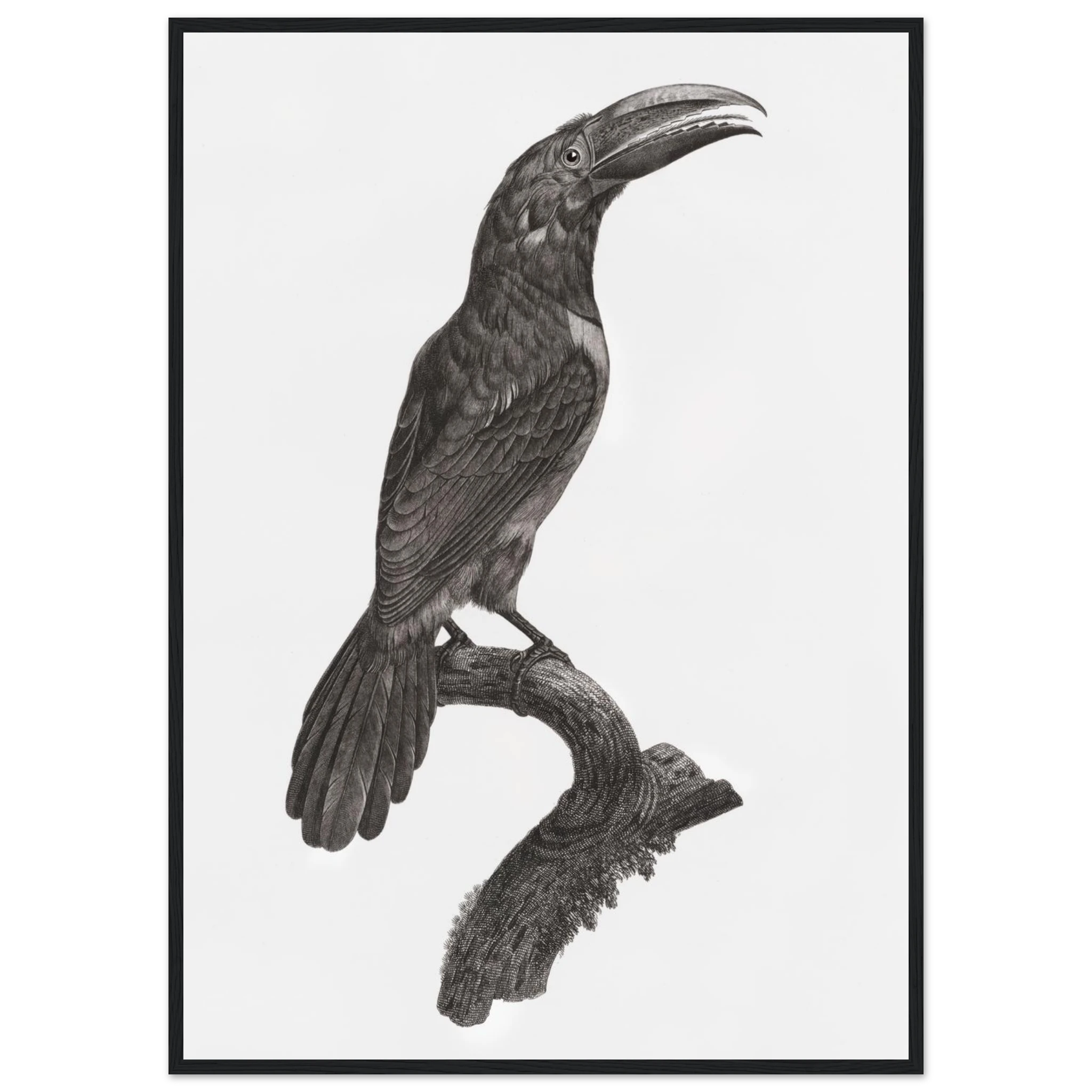 c58b732b-06fc-4268-9397-0cc05aa1b0a2